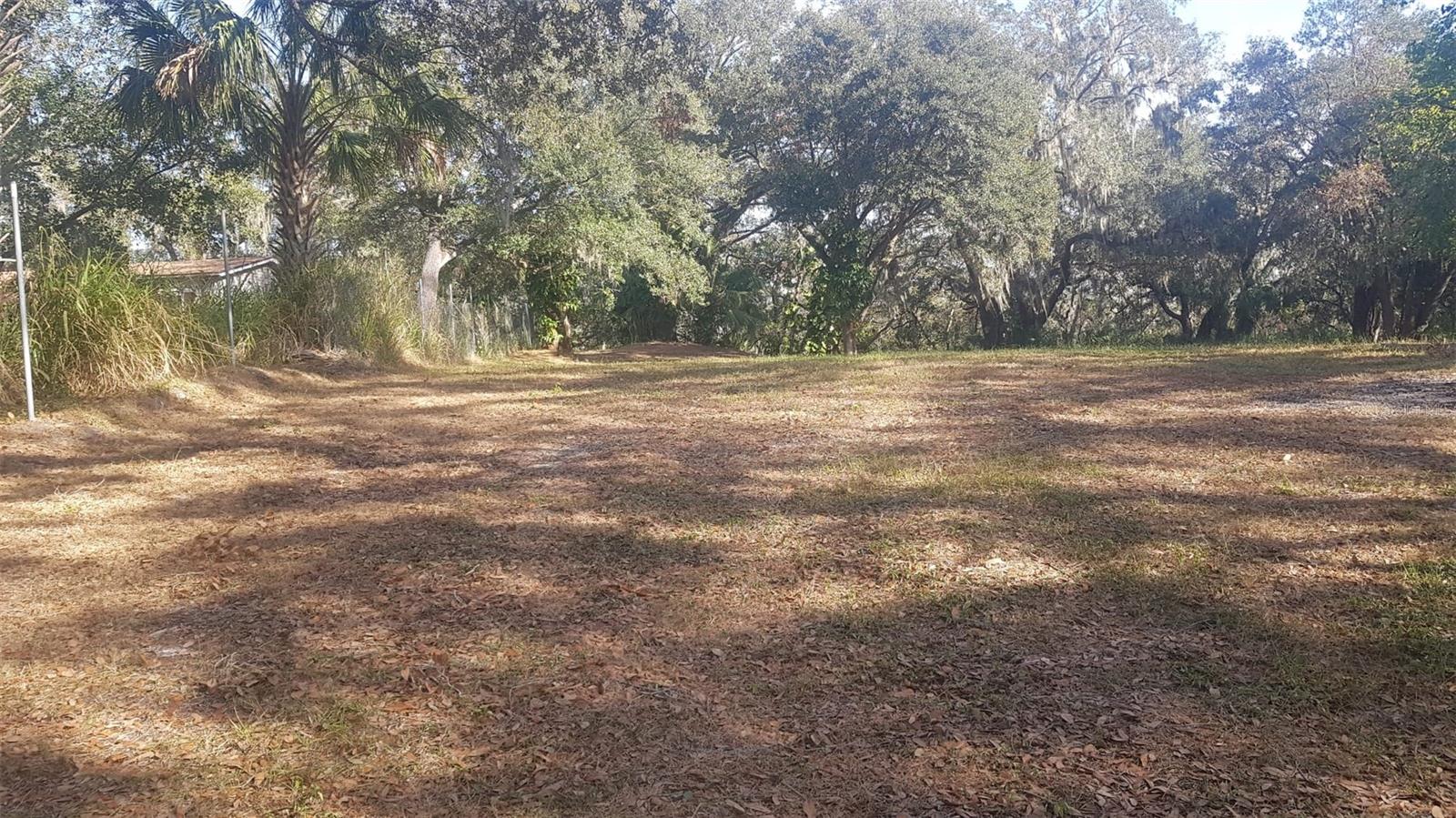 1511 HILLSIDE DR, MULBERRY, FL, 33860