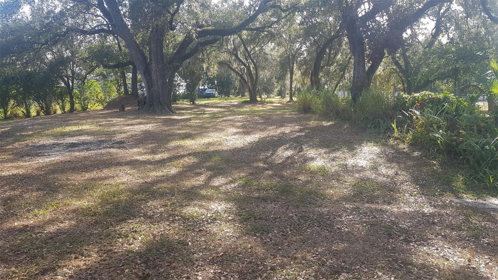 1511 HILLSIDE DR, MULBERRY, FL, 33860