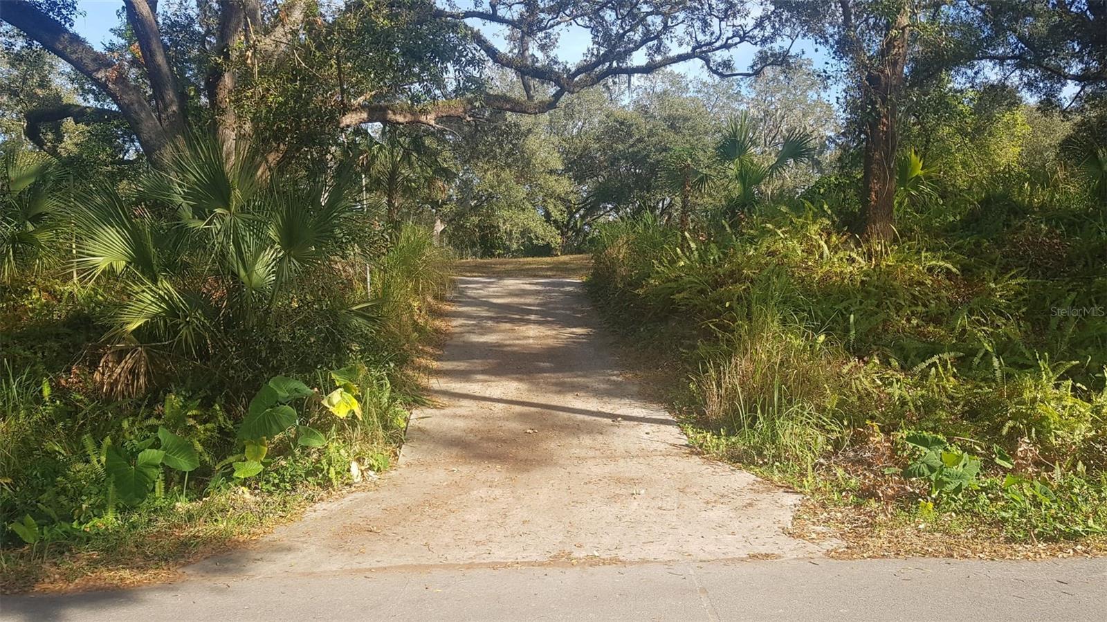 1511 HILLSIDE DR, MULBERRY, FL, 33860