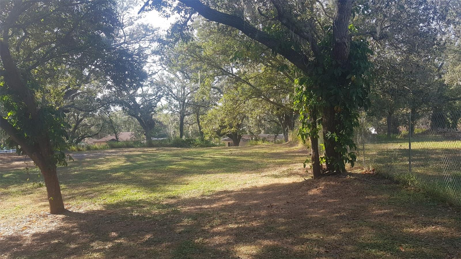 1511 HILLSIDE DR, MULBERRY, FL, 33860
