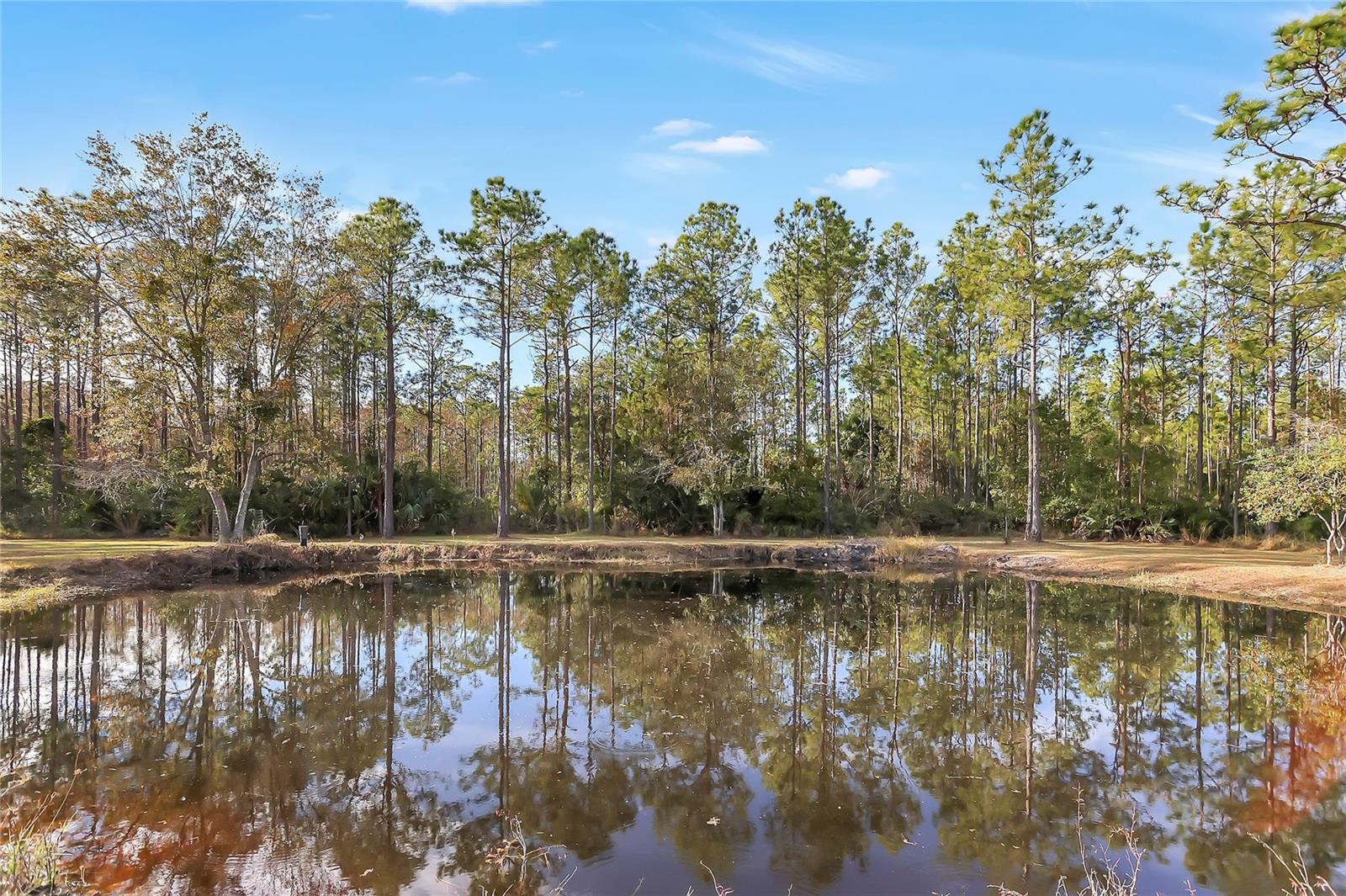 153 ASHBY COVE LN, NEW SMYRNA BEACH, FL, 32168