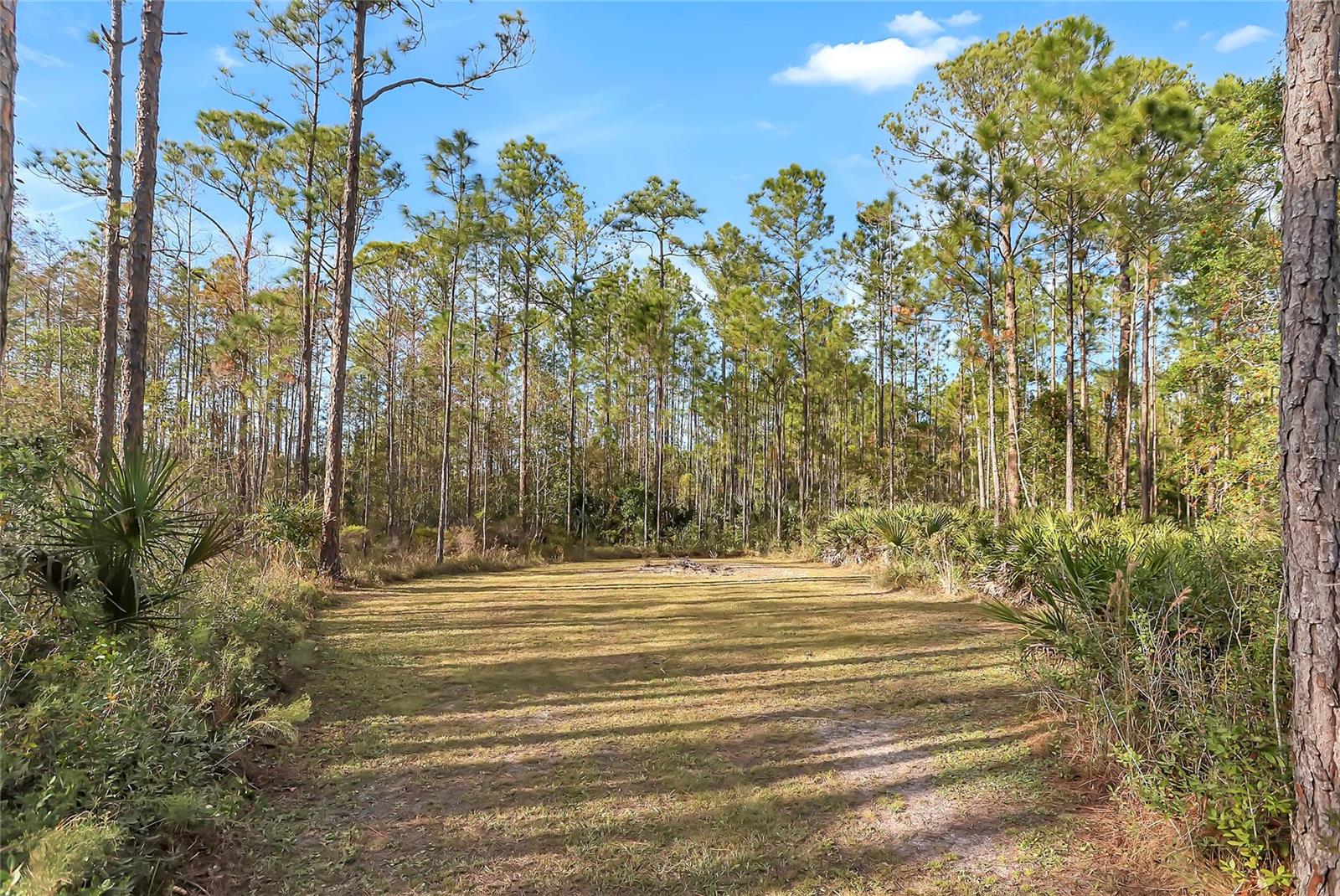 153 ASHBY COVE LN, NEW SMYRNA BEACH, FL, 32168