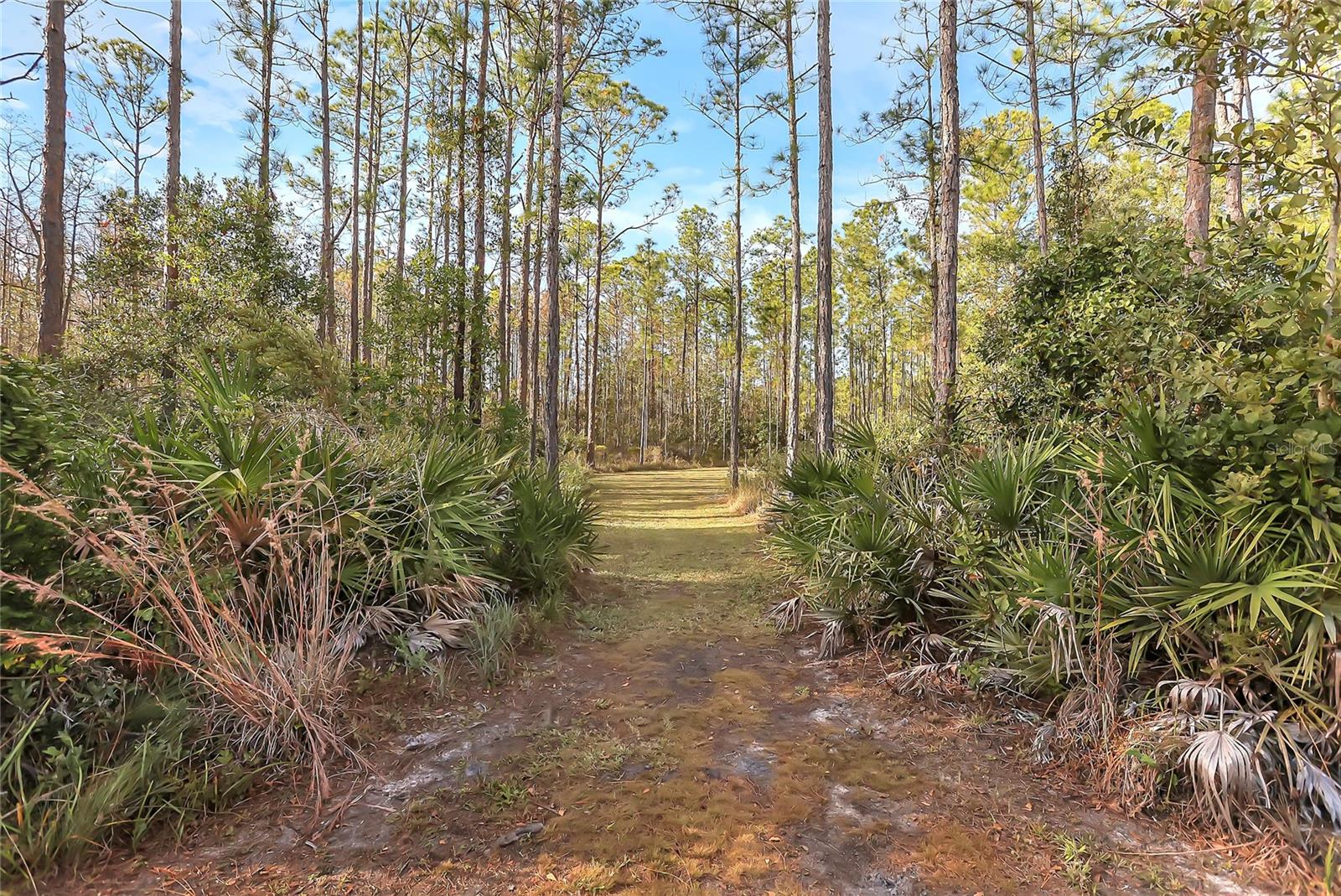 153 ASHBY COVE LN, NEW SMYRNA BEACH, FL, 32168