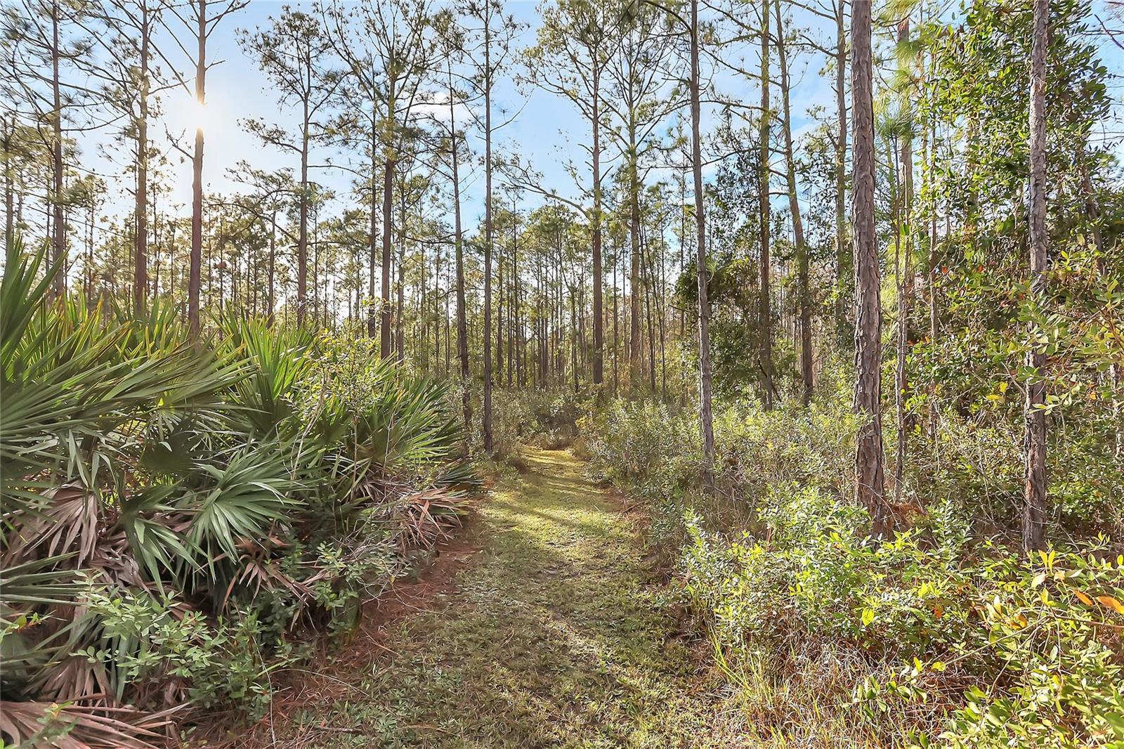 153 ASHBY COVE LN, NEW SMYRNA BEACH, FL, 32168