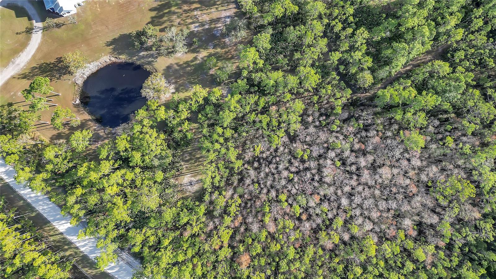 153 ASHBY COVE LN, NEW SMYRNA BEACH, FL, 32168