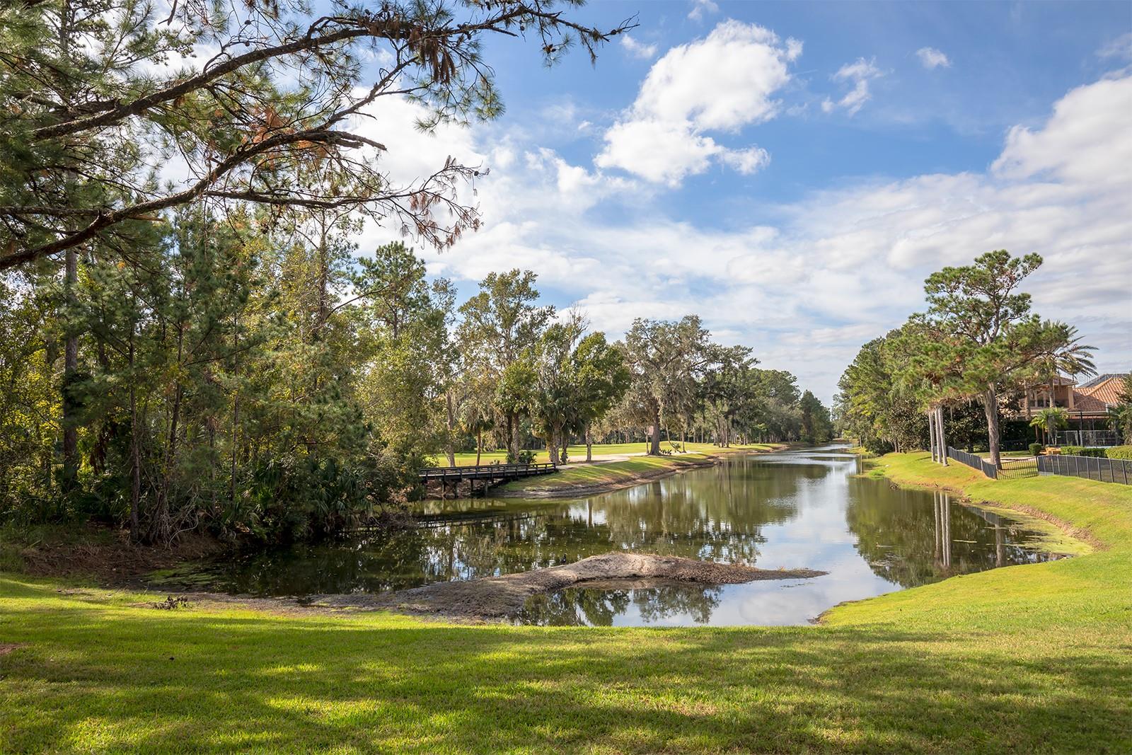 3277 LAKEVIEW OAKS DR, LONGWOOD, FL, 32779