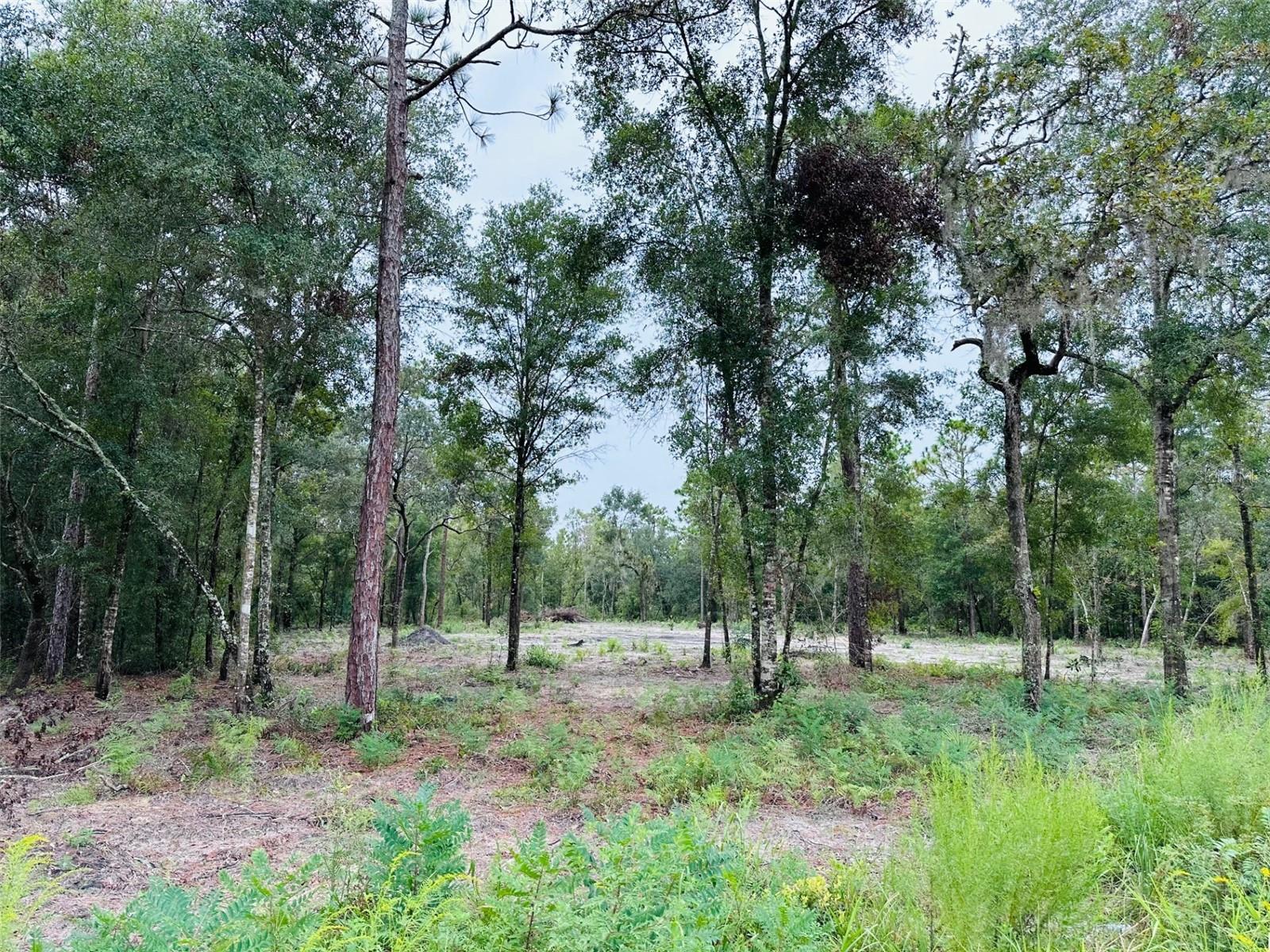 172 SE 190 AVE, OLD TOWN, FL, 32680