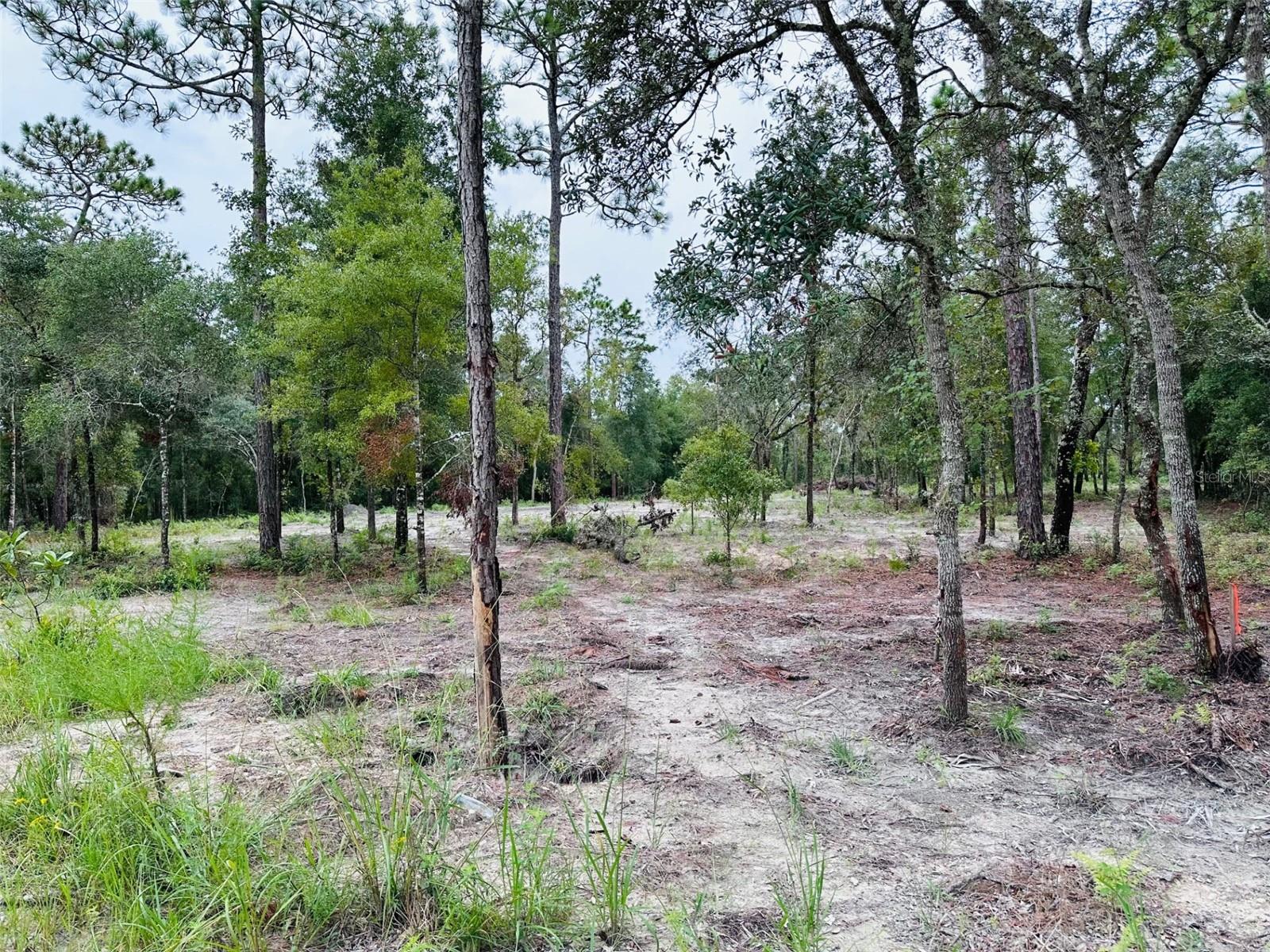 172 SE 190 AVE, OLD TOWN, FL, 32680