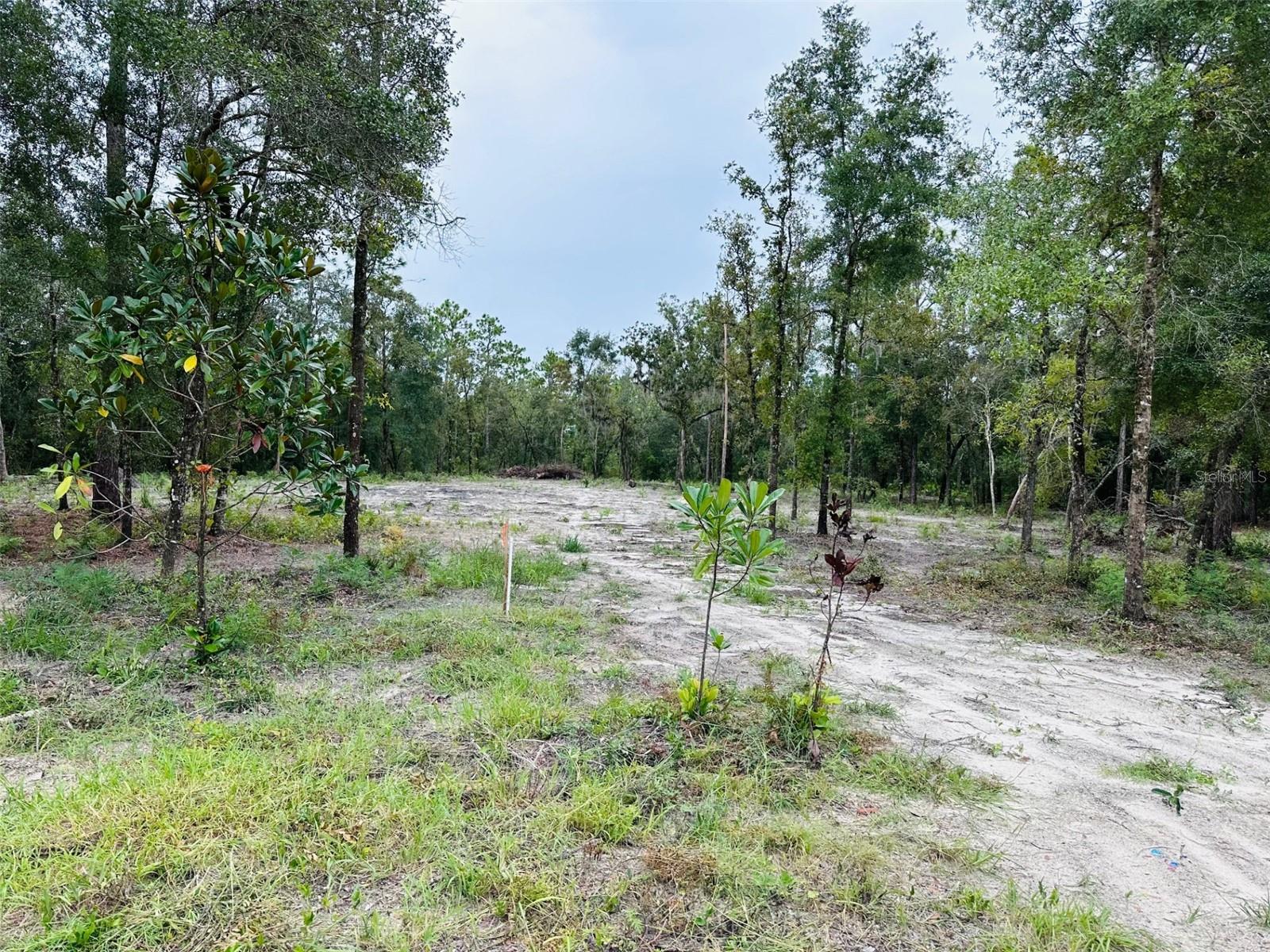 172 SE 190 AVE, OLD TOWN, FL, 32680