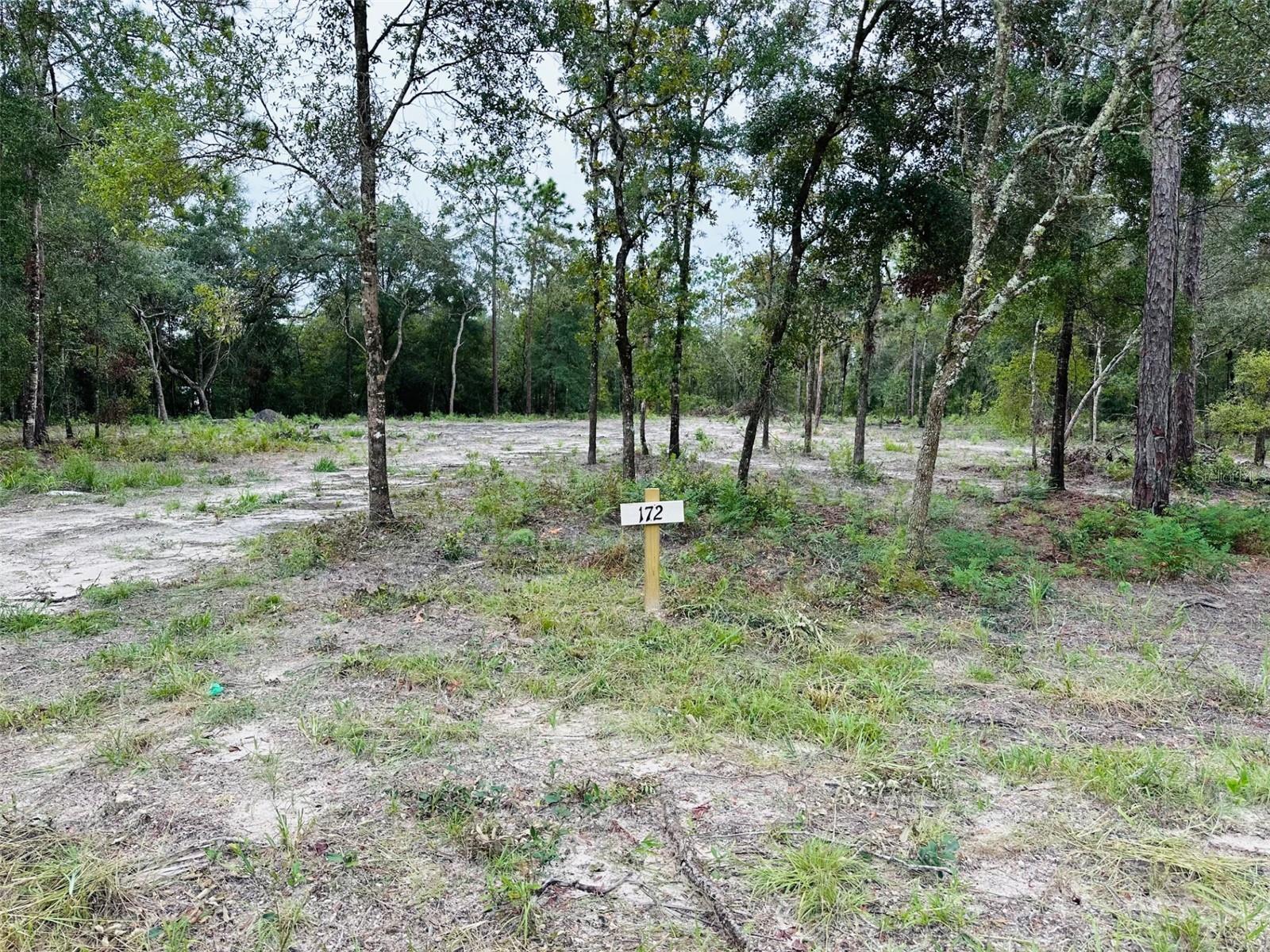 172 SE 190 AVE, OLD TOWN, FL, 32680