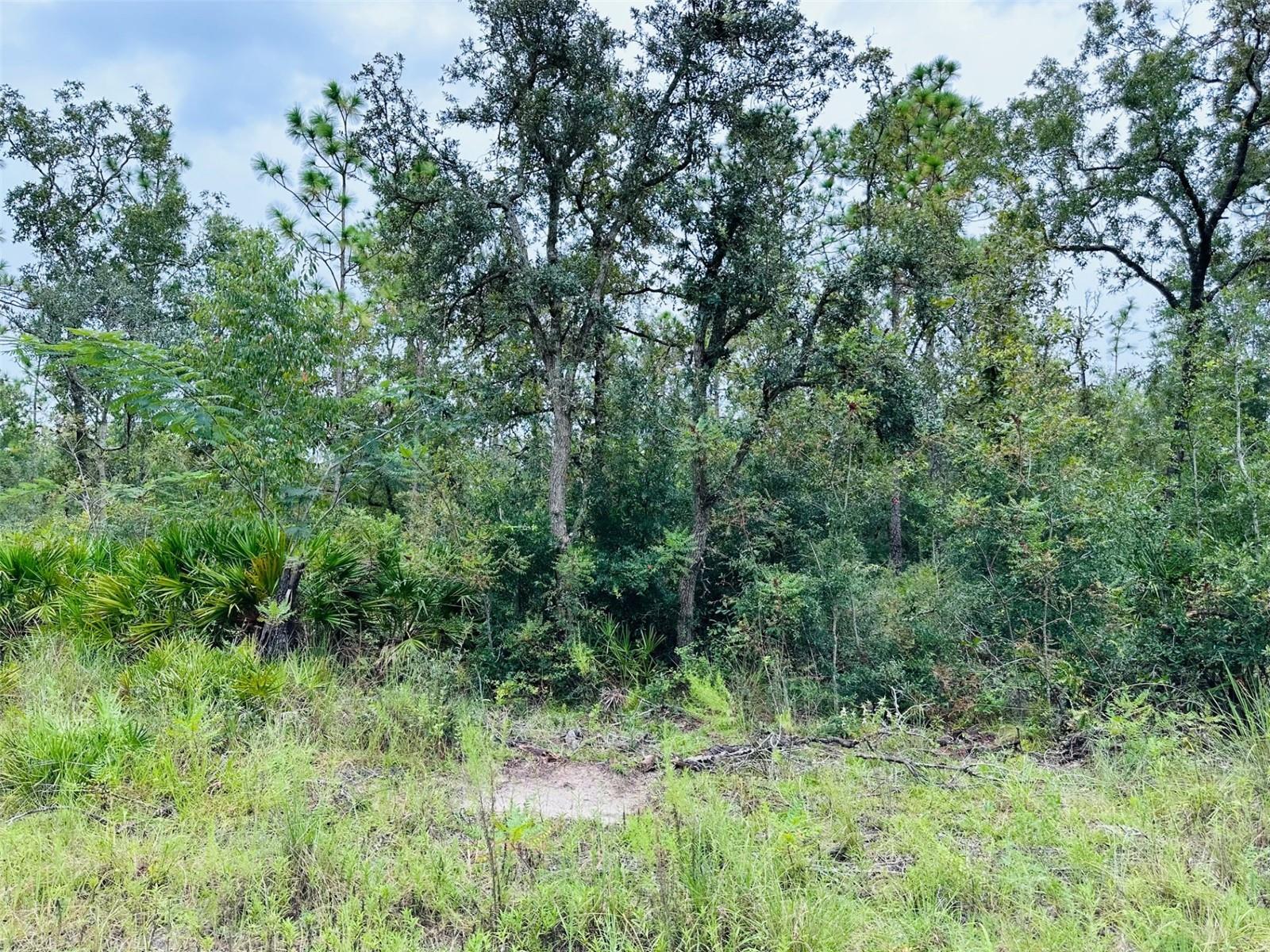172 SE 190 AVE, OLD TOWN, FL, 32680