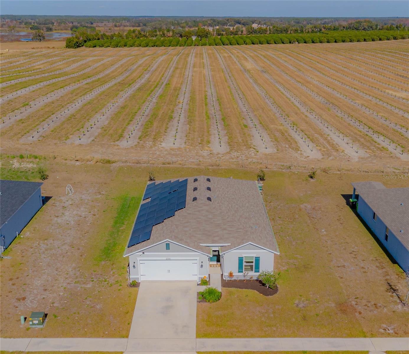 2030 FICUS ST, MASCOTTE, FL, 34753