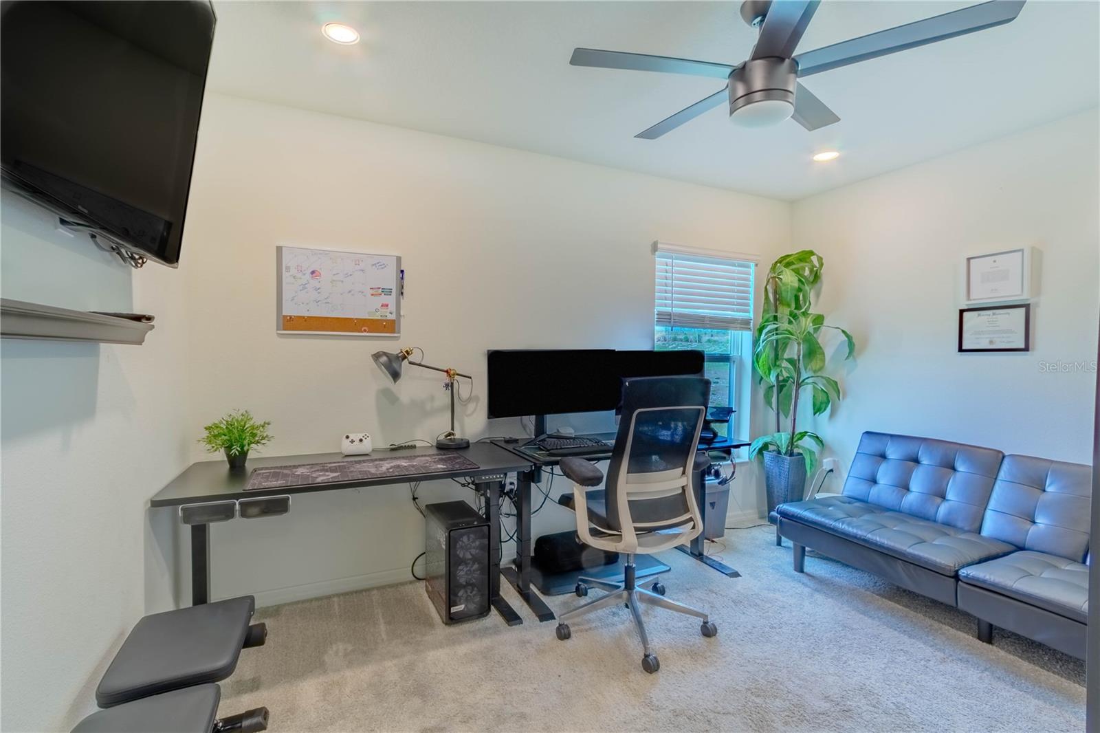 2030 FICUS ST, MASCOTTE, FL, 34753