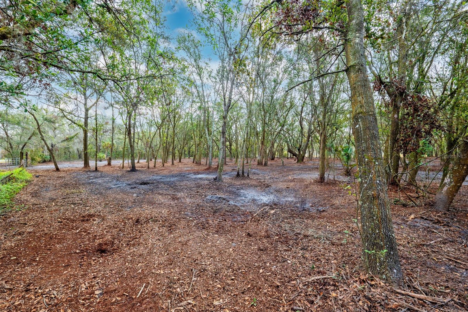 JUSTIN LN, PLANT CITY, FL, 33565