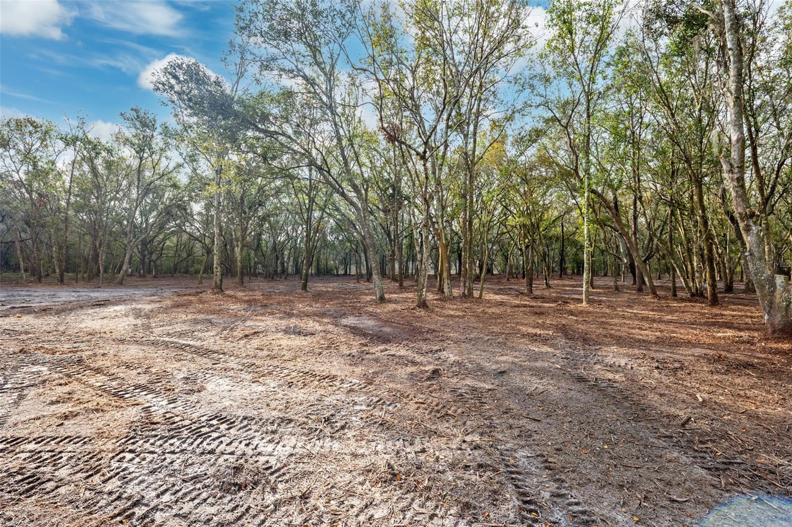 JUSTIN LN, PLANT CITY, FL, 33565