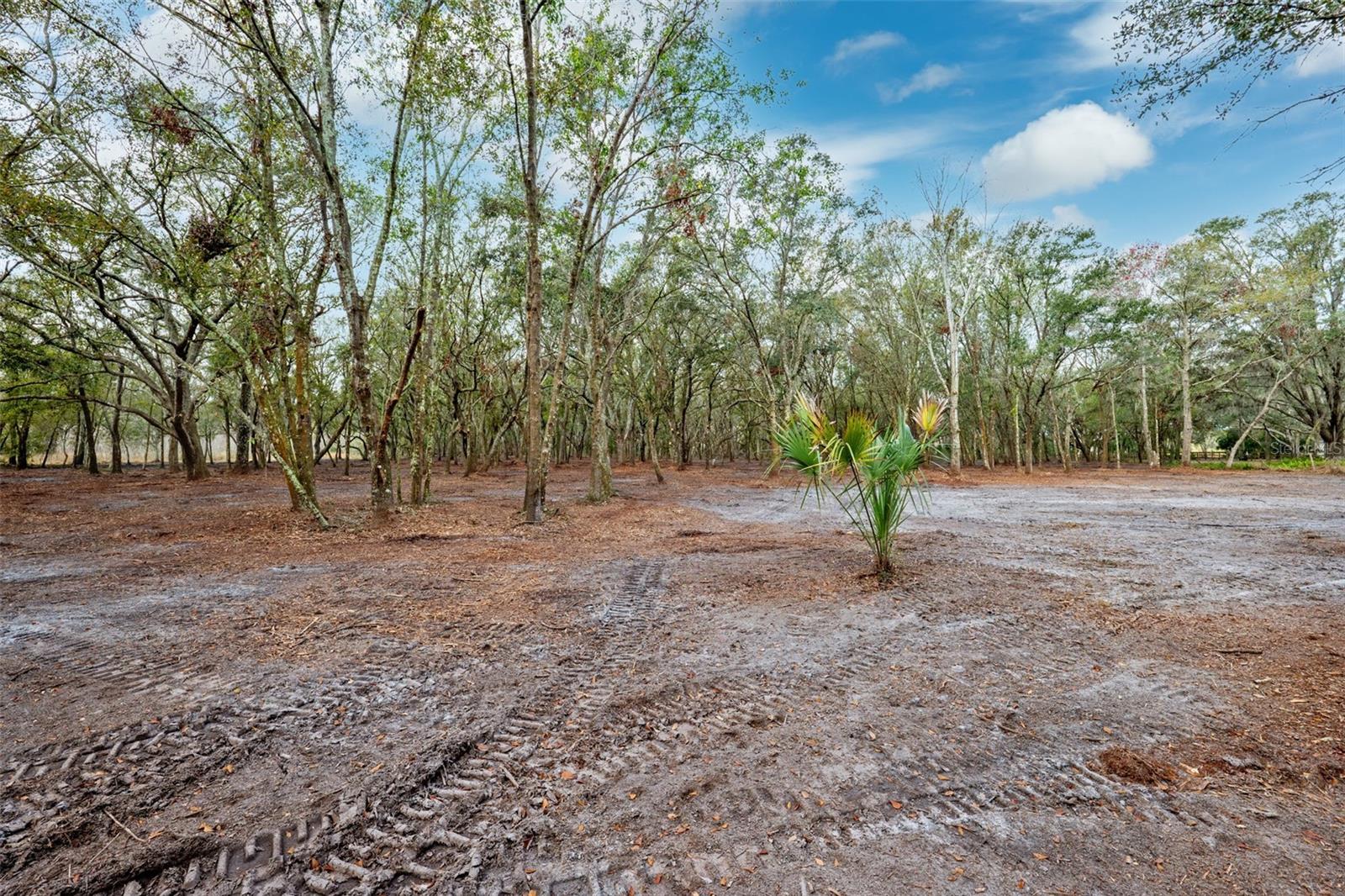 JUSTIN LN, PLANT CITY, FL, 33565
