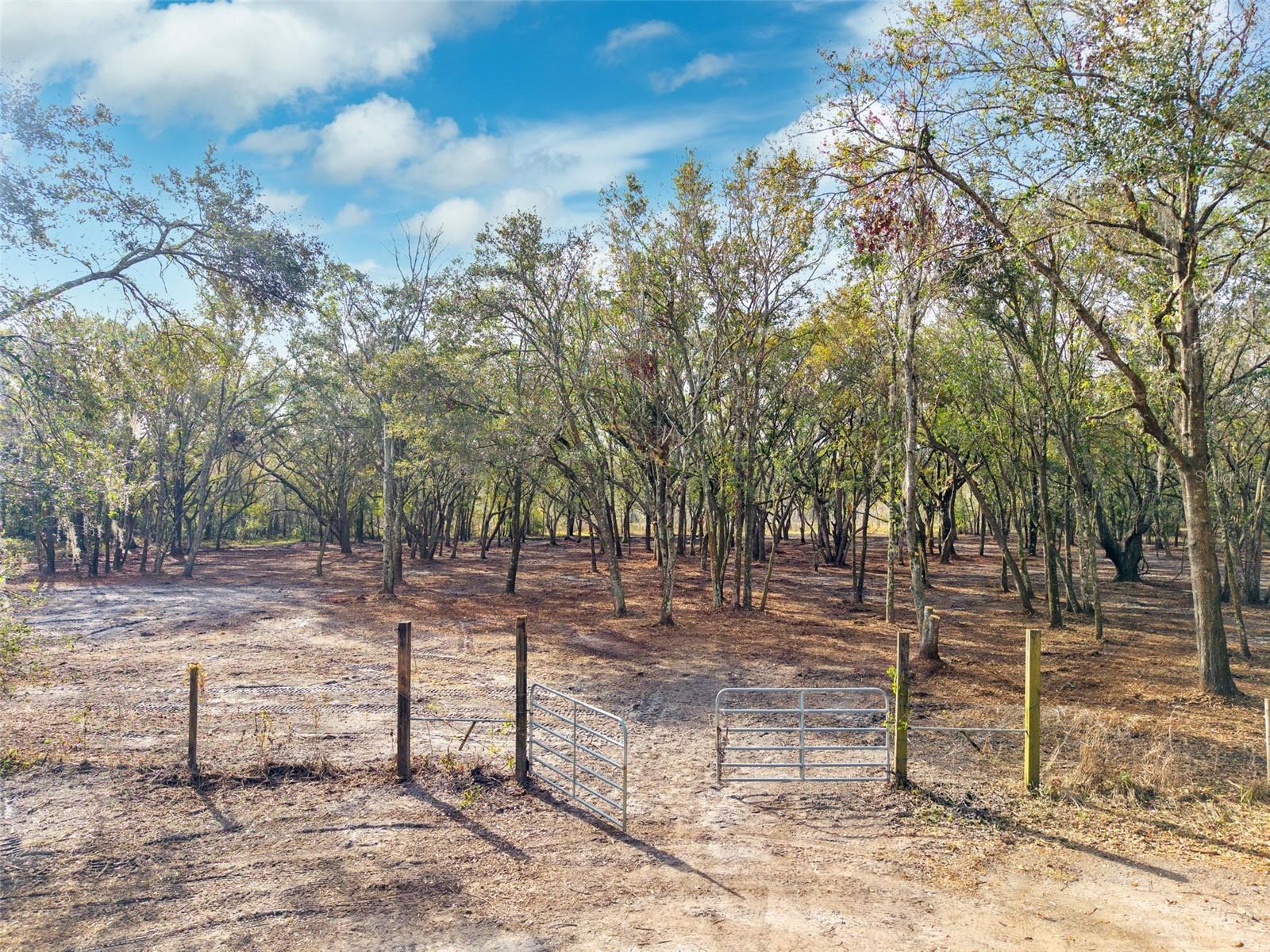 JUSTIN LN, PLANT CITY, FL, 33565