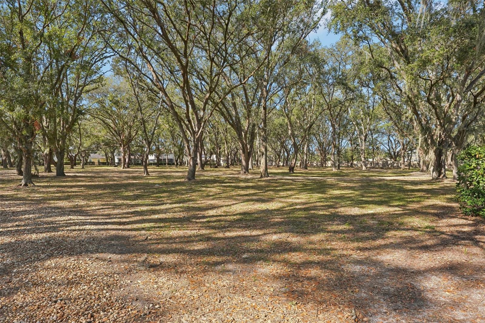 4556 PENSFORD CT, WESLEY CHAPEL, FL, 33543