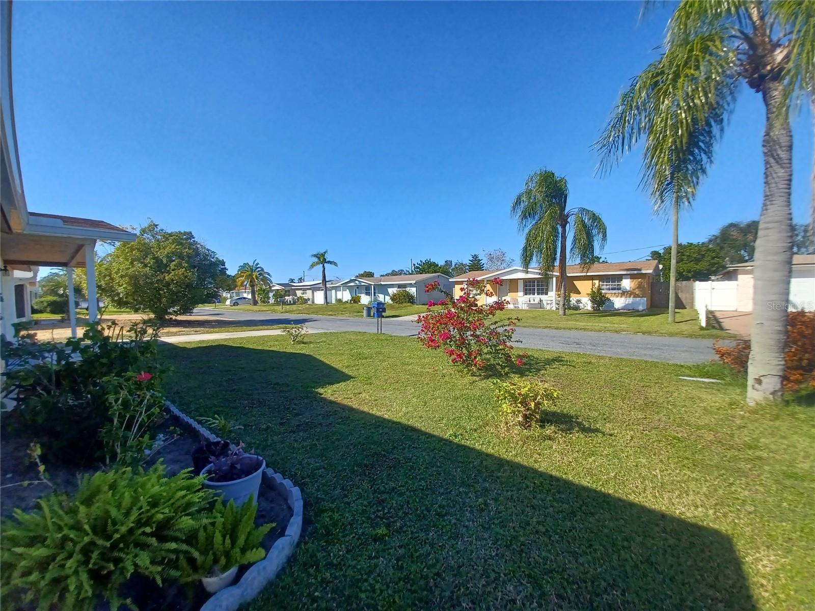 3818 BEECHWOOD DR, HOLIDAY, FL, 34691
