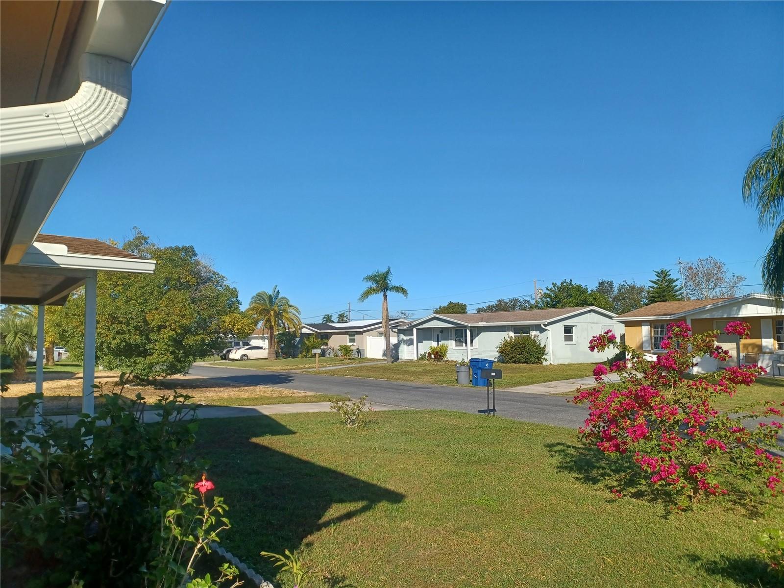 3818 BEECHWOOD DR, HOLIDAY, FL, 34691
