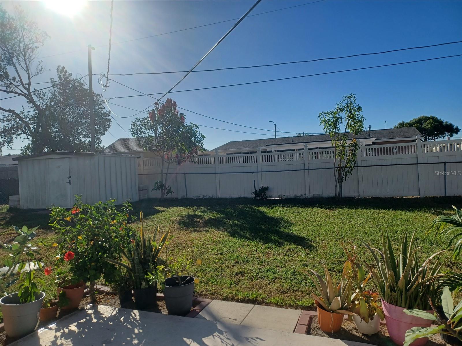 3818 BEECHWOOD DR, HOLIDAY, FL, 34691