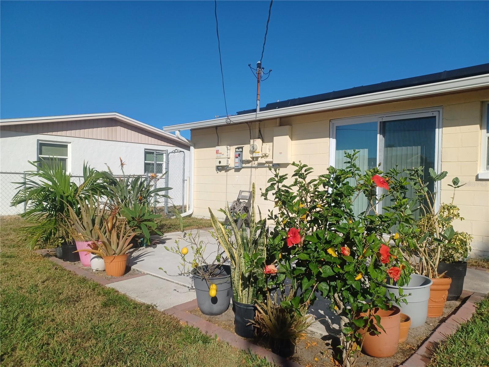 3818 BEECHWOOD DR, HOLIDAY, FL, 34691