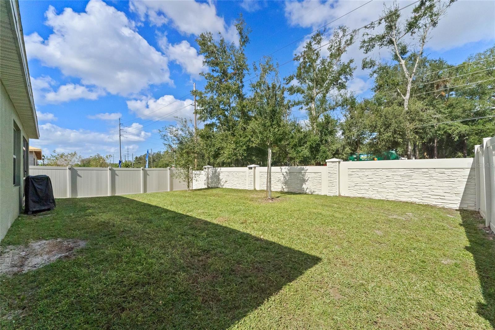 11125 AMBER RIDGE DR, ZELLWOOD, FL, 32798