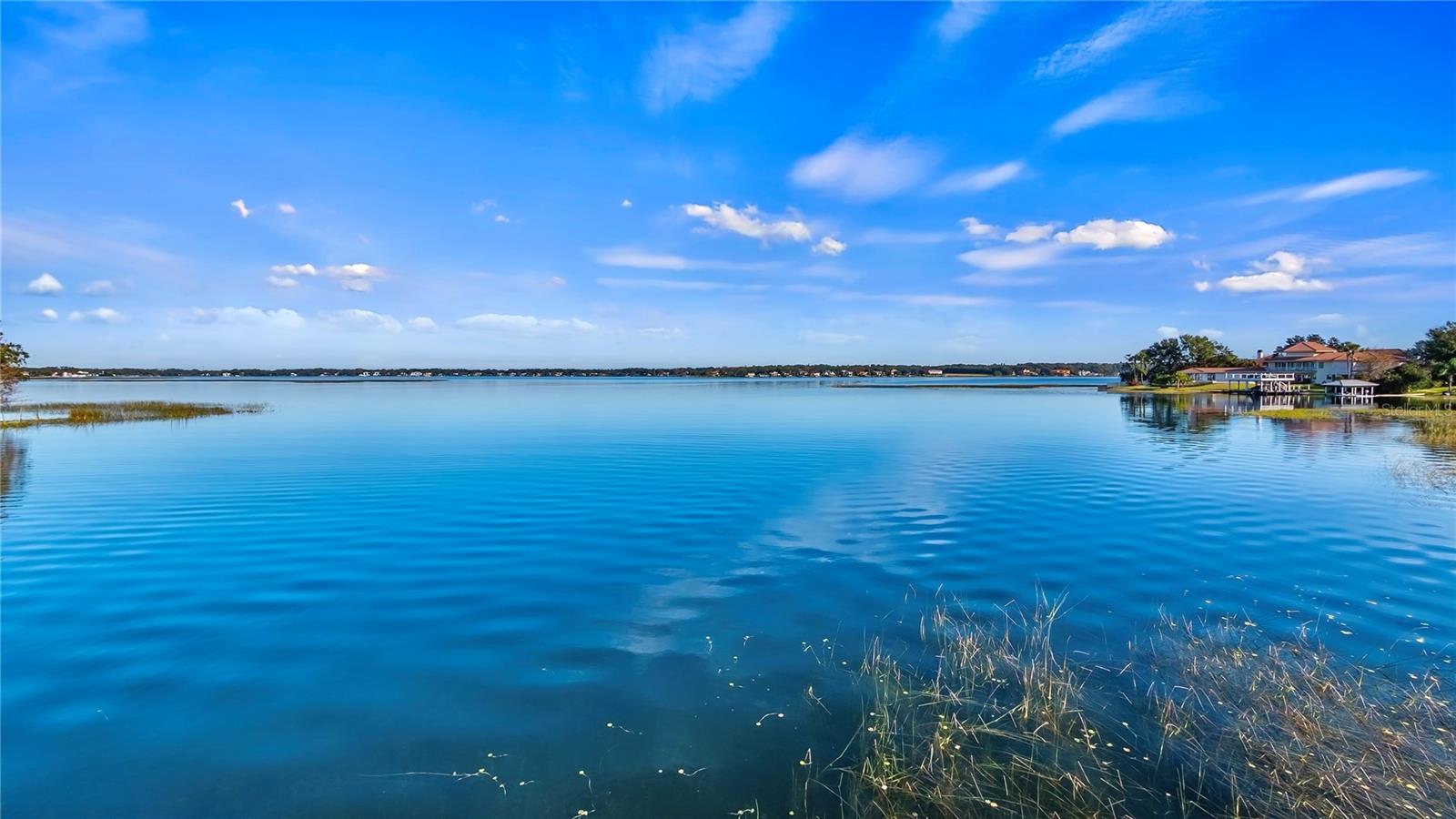 647 RIDGEWOOD DR, WINDERMERE, FL, 34786