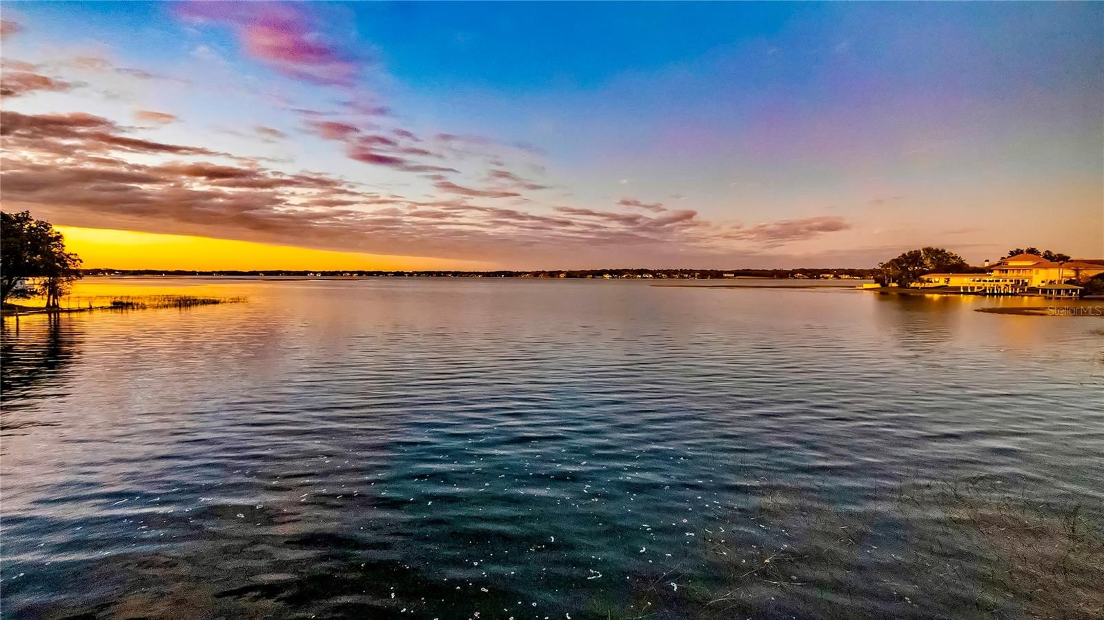 647 RIDGEWOOD DR, WINDERMERE, FL, 34786