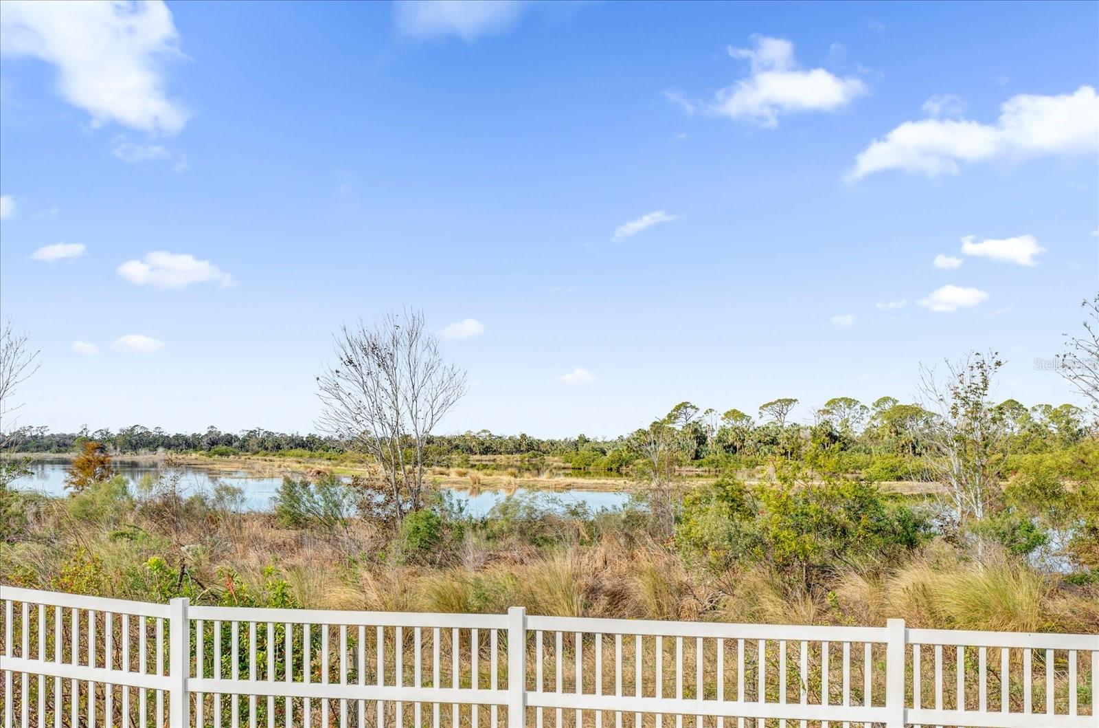 1657 BONITA BLUFF CT, RUSKIN, FL, 33570