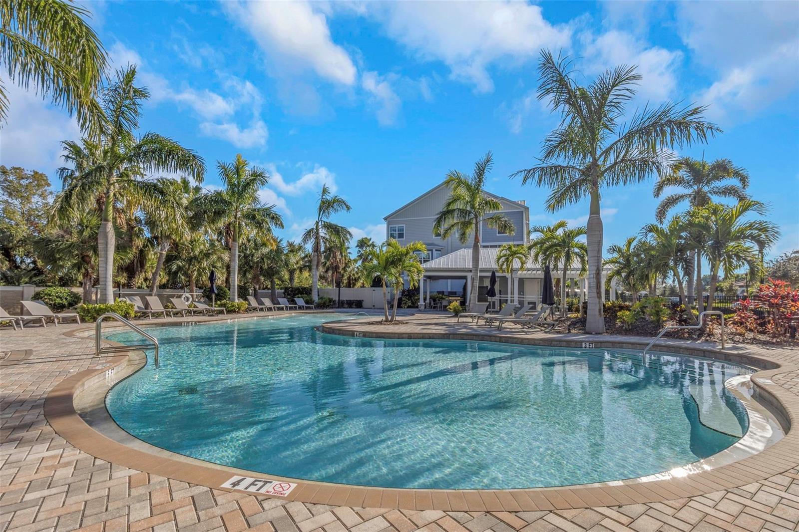 4069 ROCKY SHORES DR, TAMPA, FL, 33634