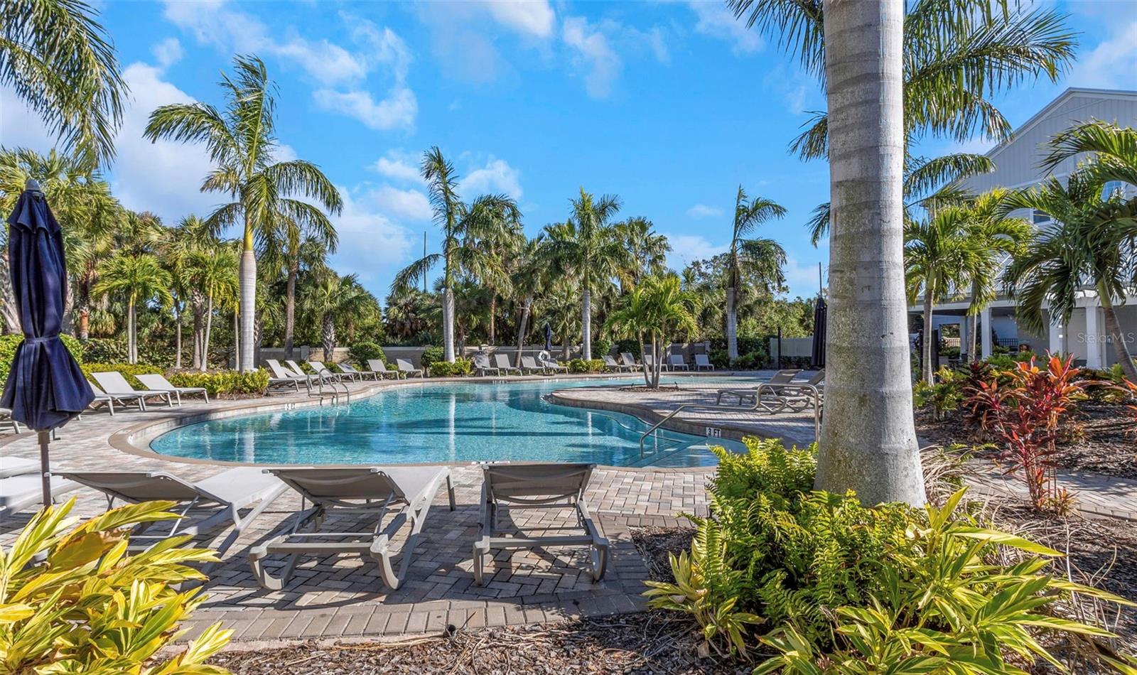 4069 ROCKY SHORES DR, TAMPA, FL, 33634