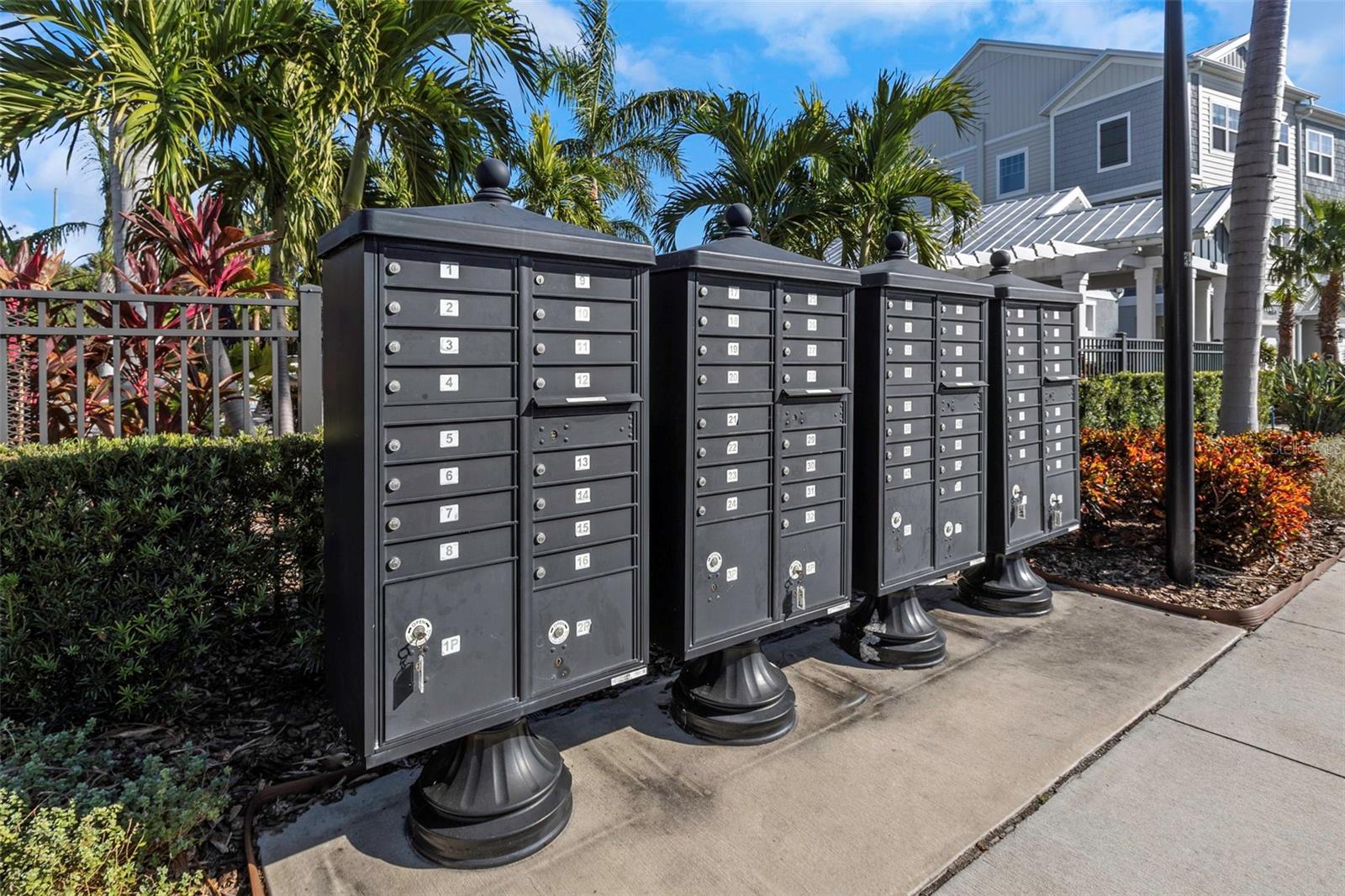 4069 ROCKY SHORES DR, TAMPA, FL, 33634