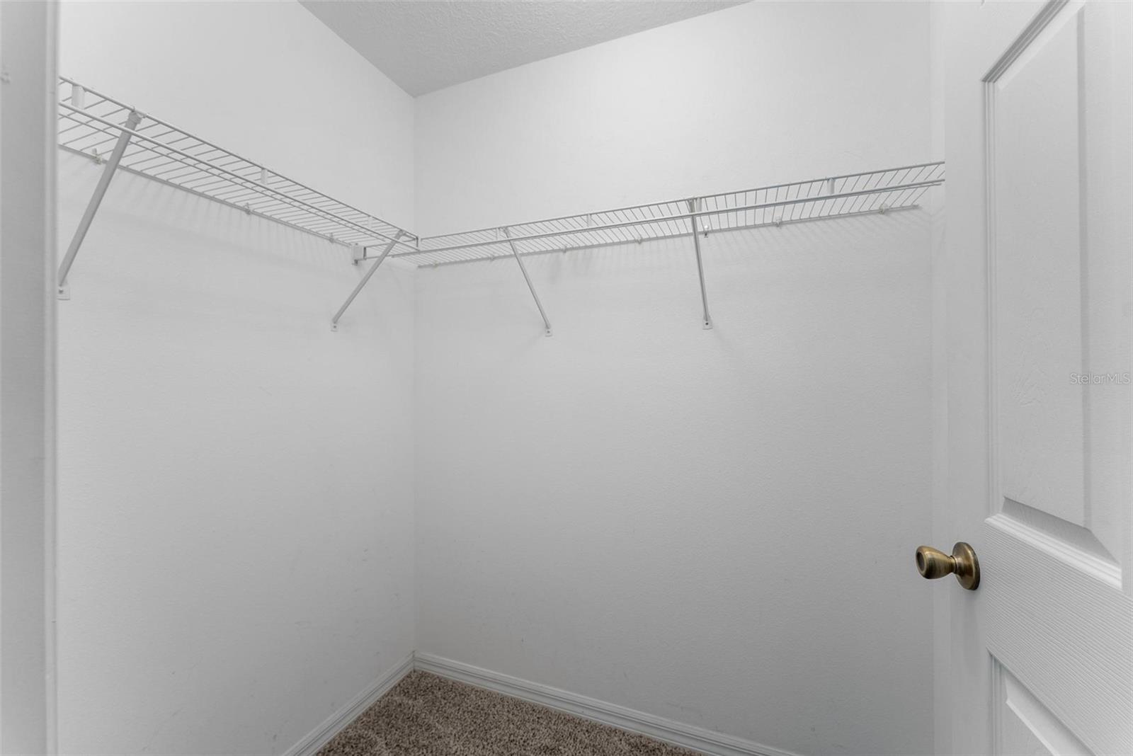 1511 WHOOPING DR, GROVELAND, FL, 34736