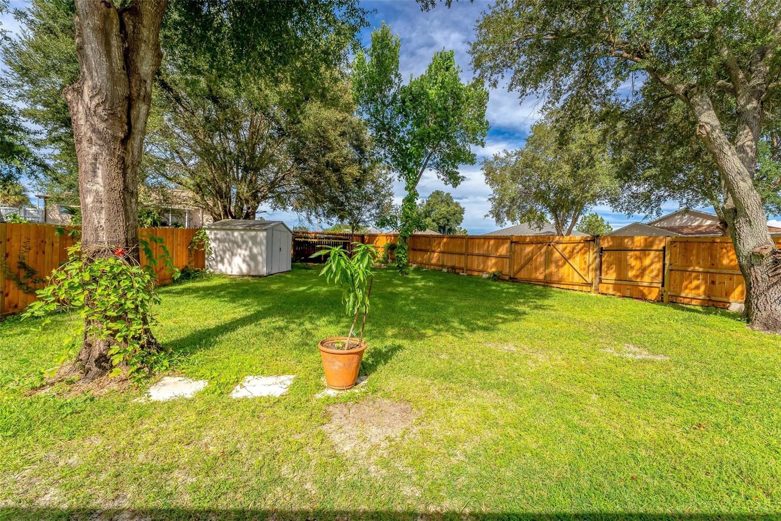 1511 WHOOPING DR, GROVELAND, FL, 34736