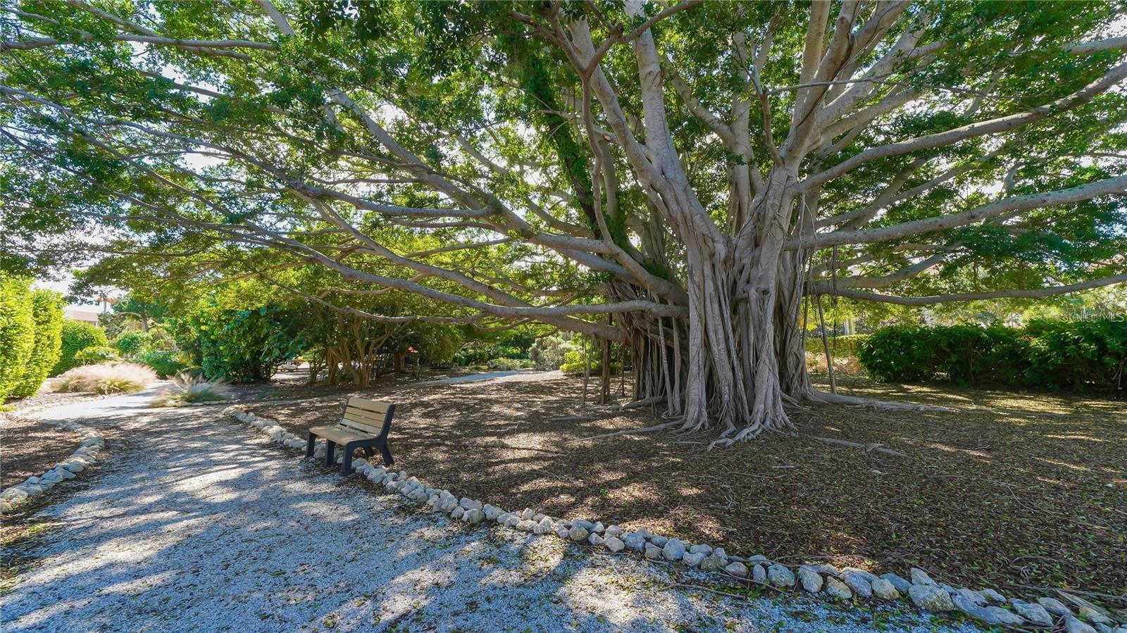 4540 GULF OF MEXICO DR #204, LONGBOAT KEY, FL, 34228