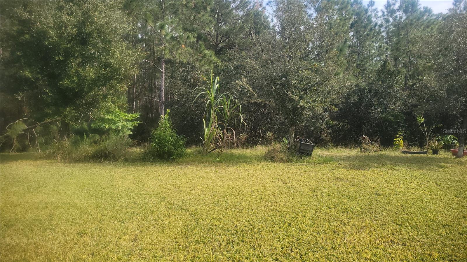 1609 CHELSEA MANOR CIR, DELAND, FL, 32724