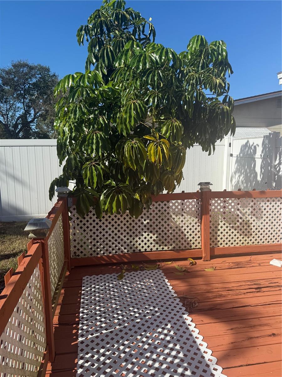 10838 87TH AVE, SEMINOLE, FL, 33772