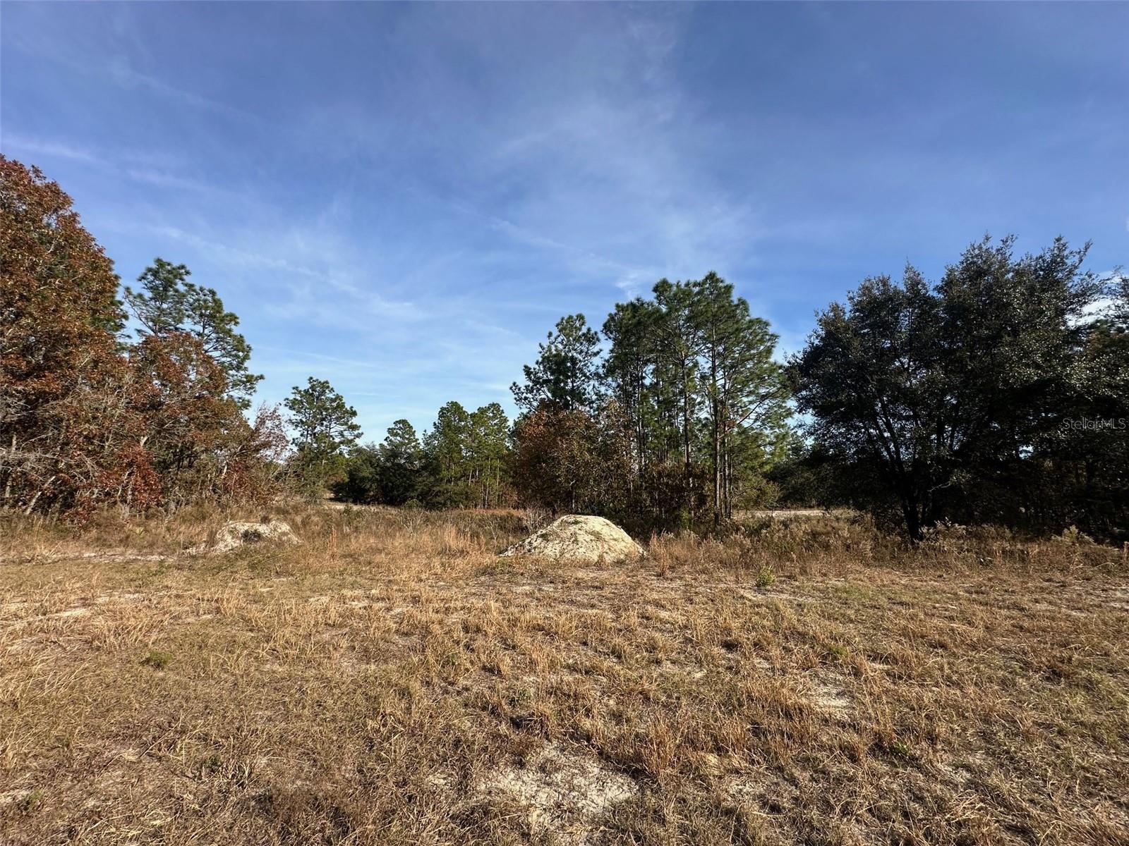 TBD SW 88TH CT, DUNNELLON, FL, 34432