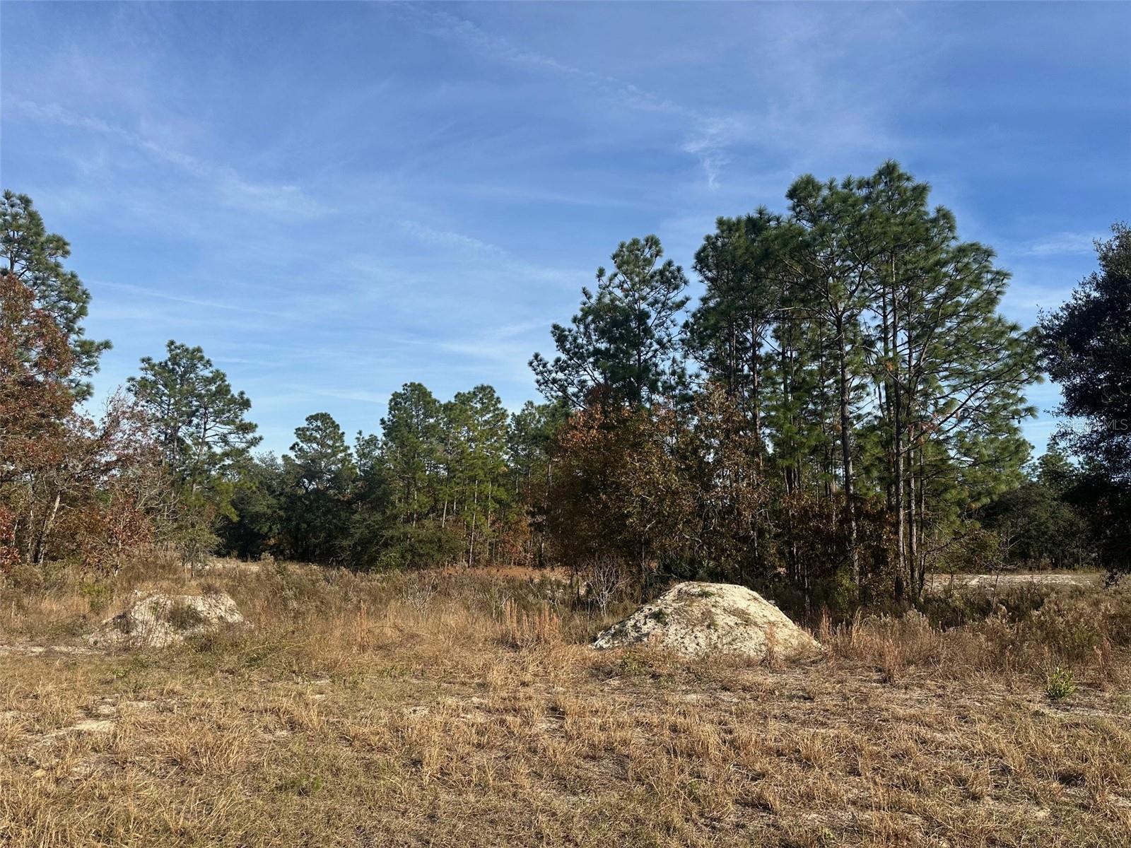 TBD SW 88TH CT, DUNNELLON, FL, 34432