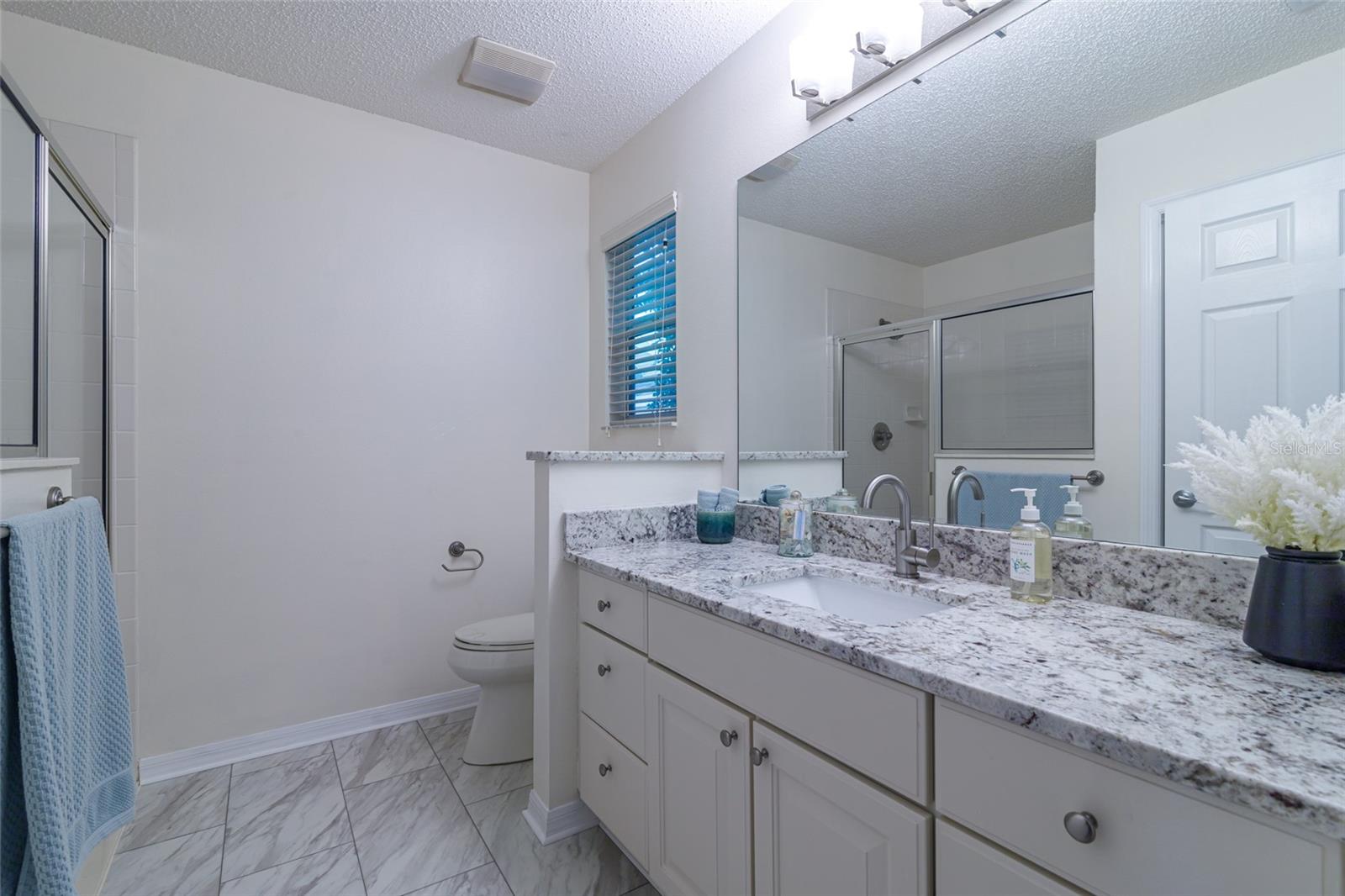17066 SE 93RD YONDEL CIR, THE VILLAGES, FL, 32162