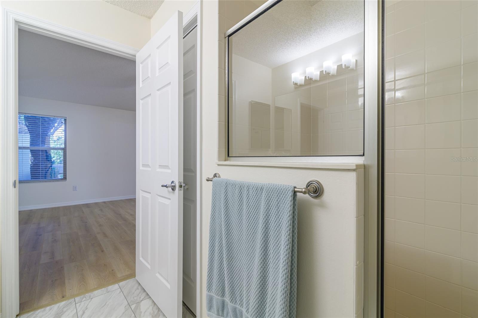 17066 SE 93RD YONDEL CIR, THE VILLAGES, FL, 32162