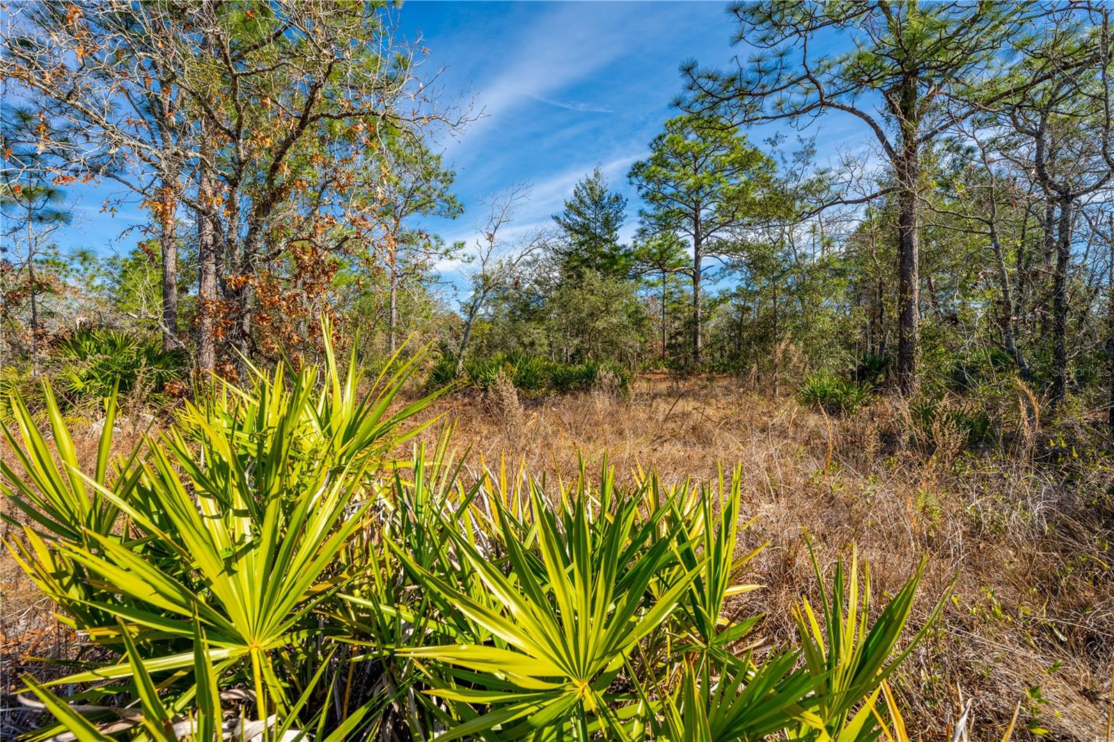 18080 MABERLY RD, WEEKI WACHEE, FL, 34614