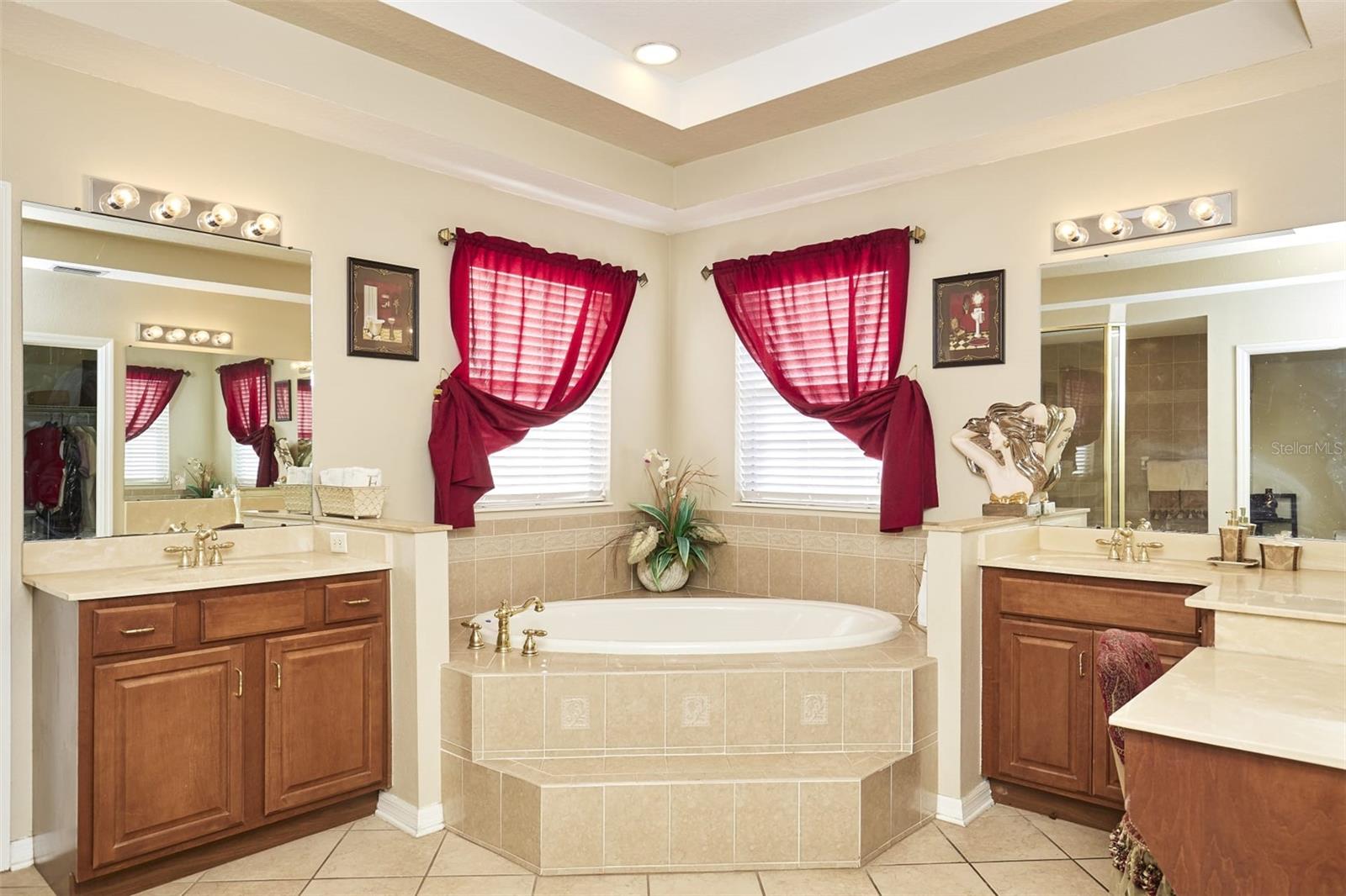 16501 IVY LAKE DR, ODESSA, FL, 33556