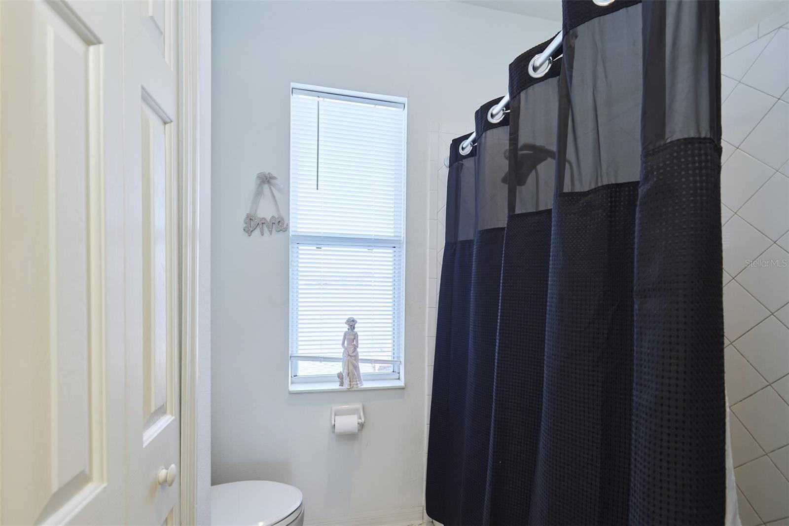 16501 IVY LAKE DR, ODESSA, FL, 33556