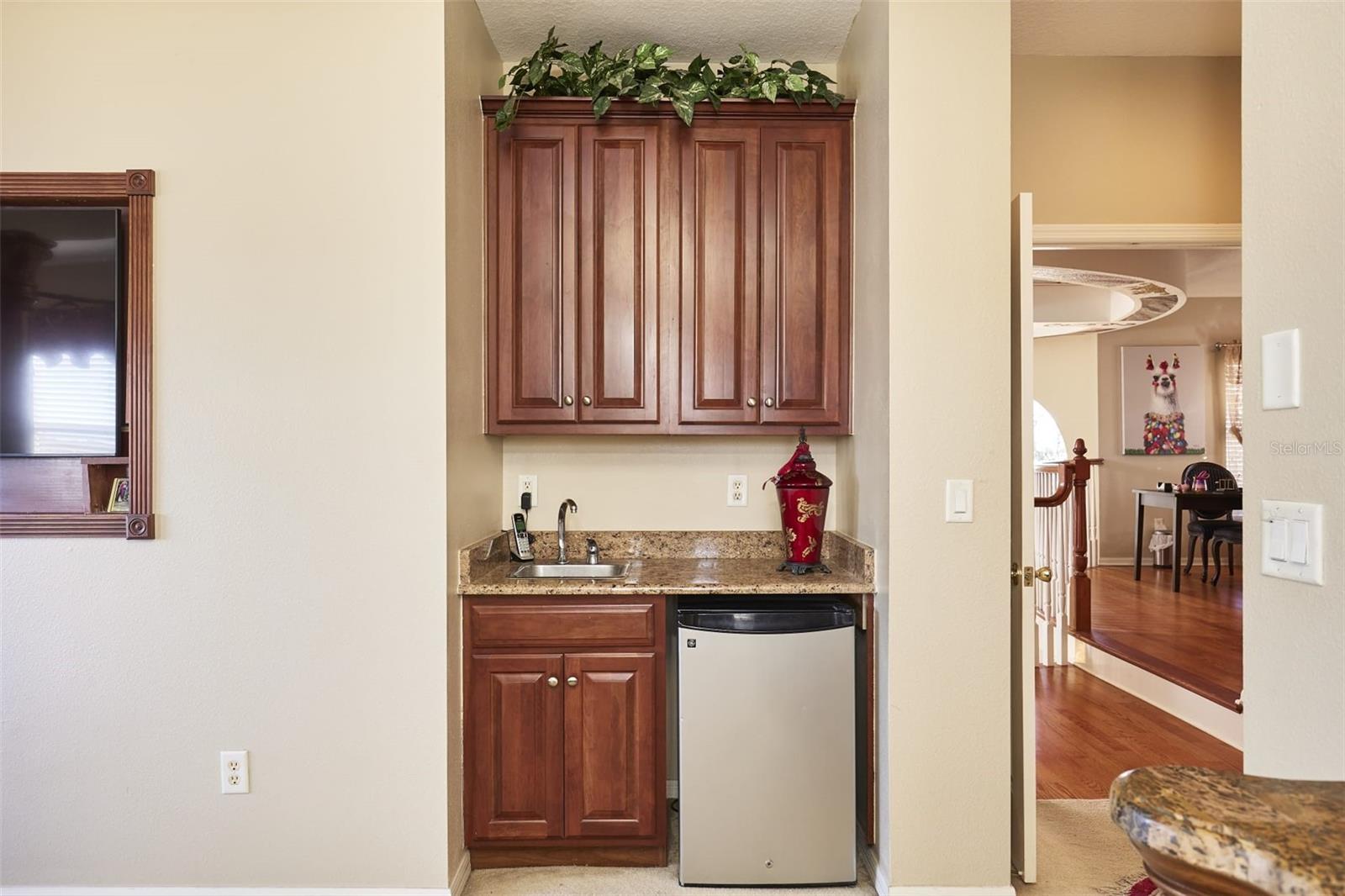 16501 IVY LAKE DR, ODESSA, FL, 33556