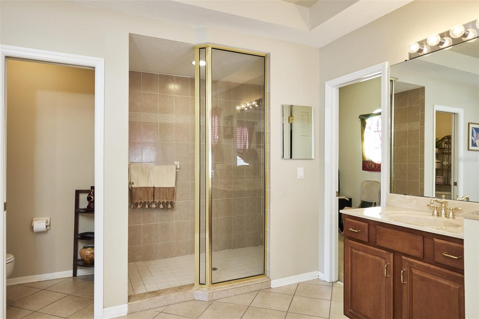 16501 IVY LAKE DR, ODESSA, FL, 33556