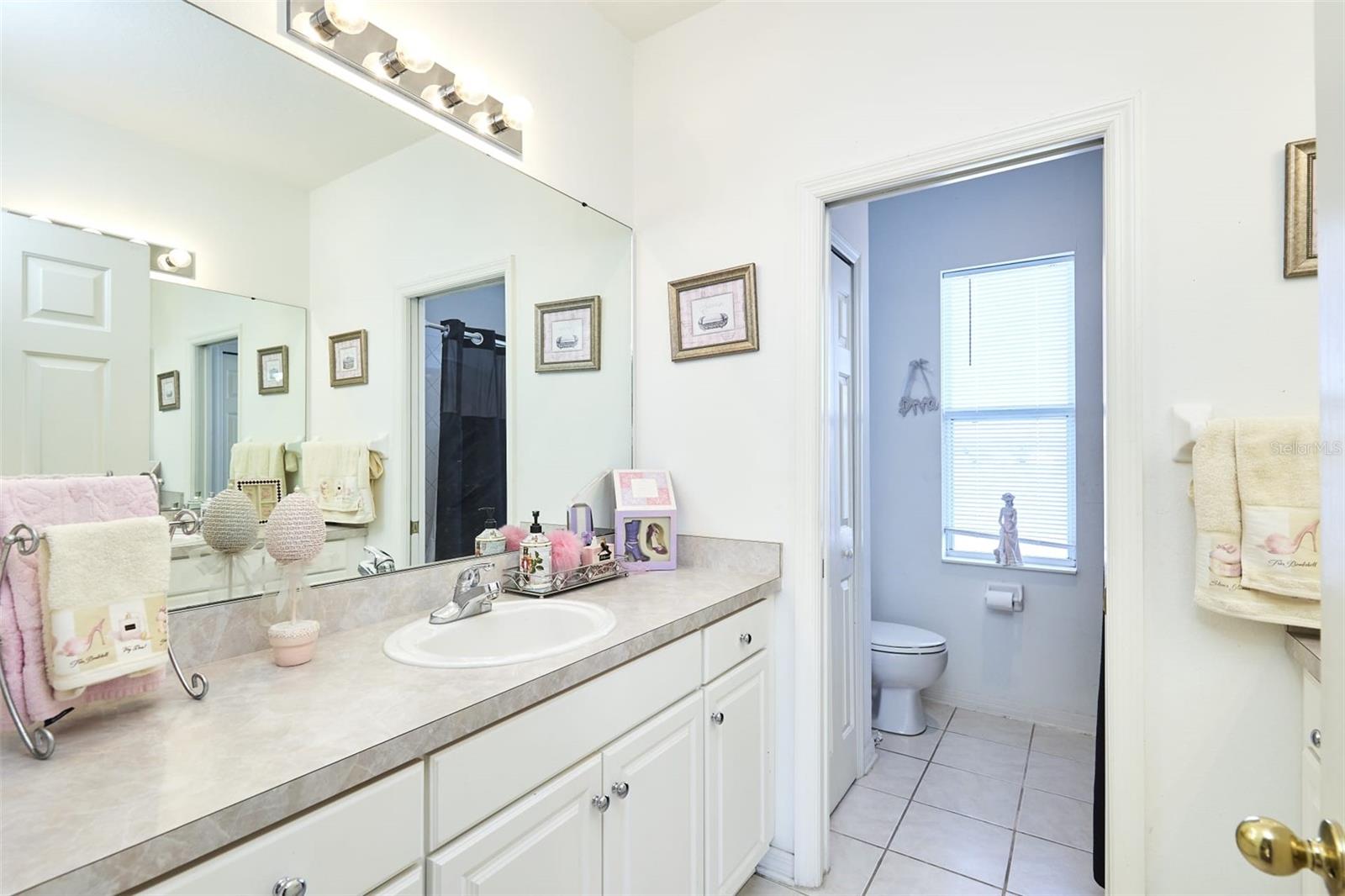 16501 IVY LAKE DR, ODESSA, FL, 33556