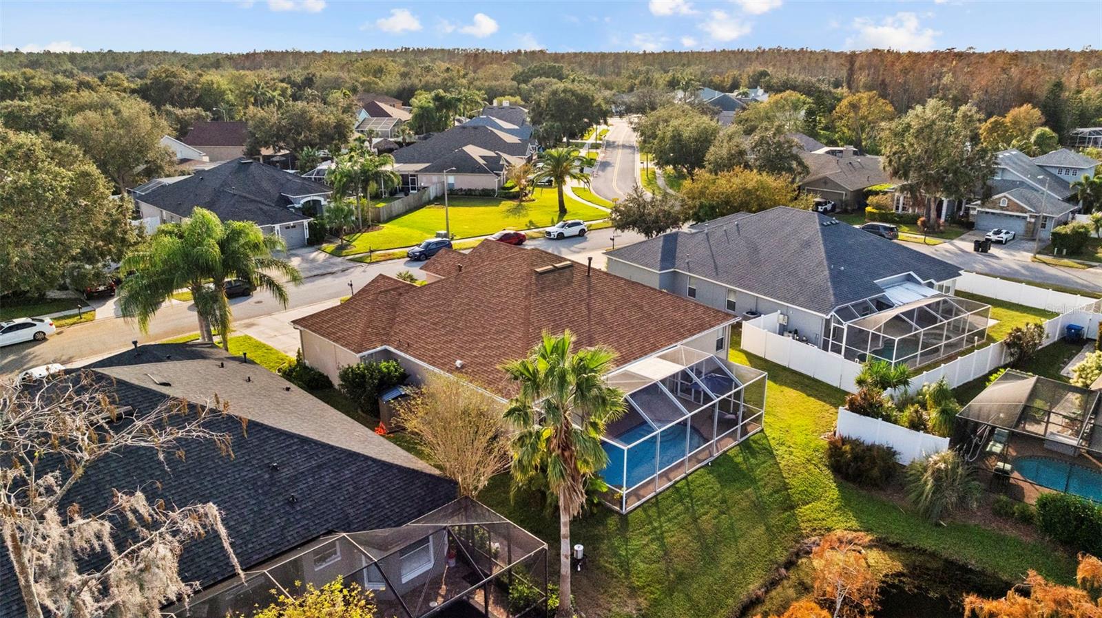 8535 LOVAS TRL, TRINITY, FL, 34655
