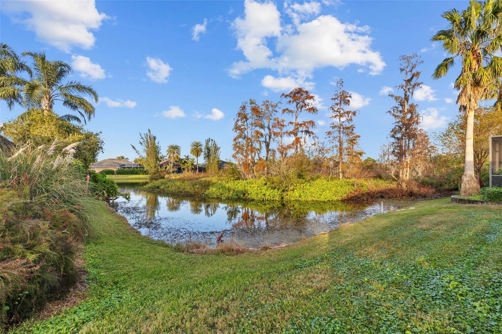 8535 LOVAS TRL, TRINITY, FL, 34655